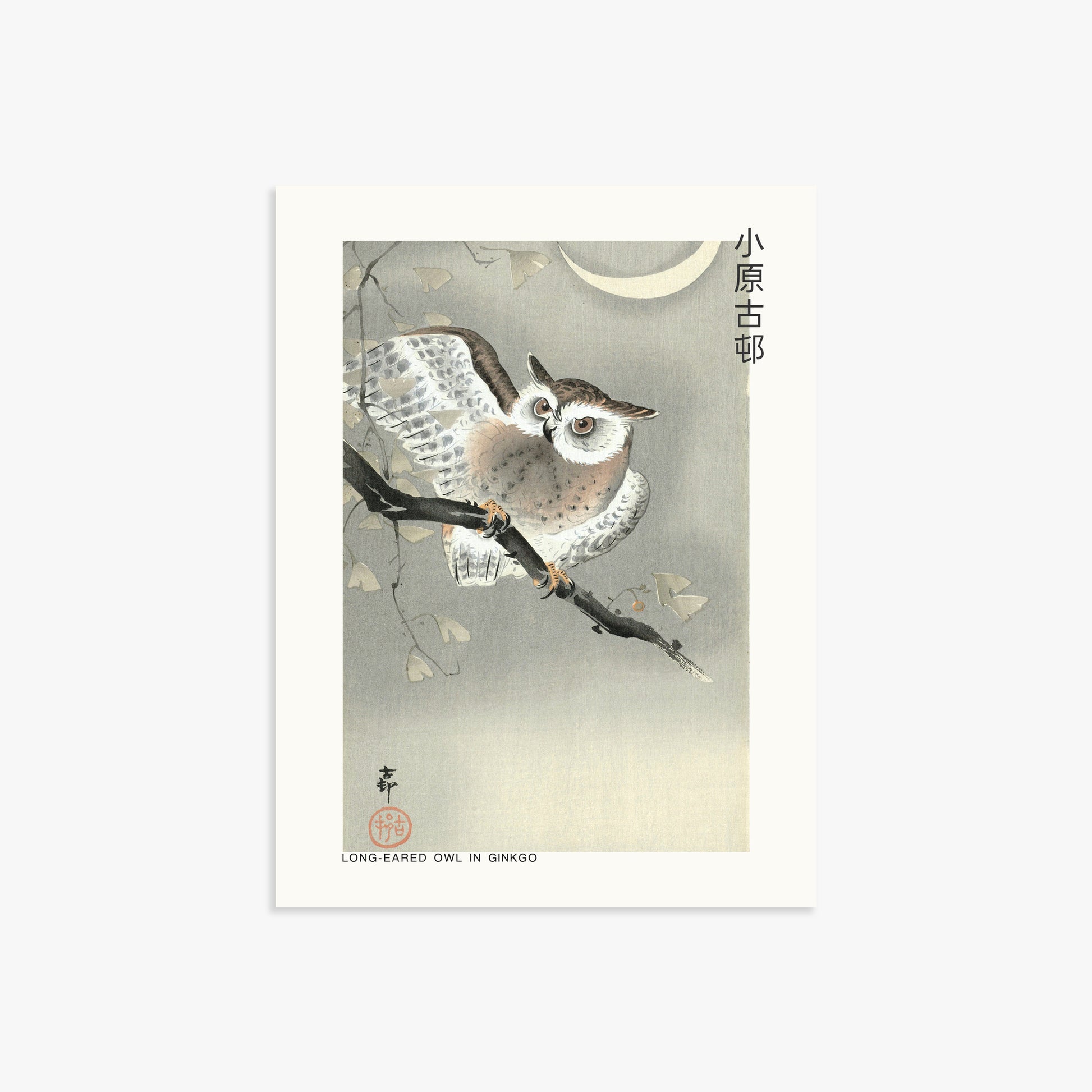 Ohara Koson: Long-eared owl in ginkgo - Japandi, 30x40cm Art Reproduction Unframed