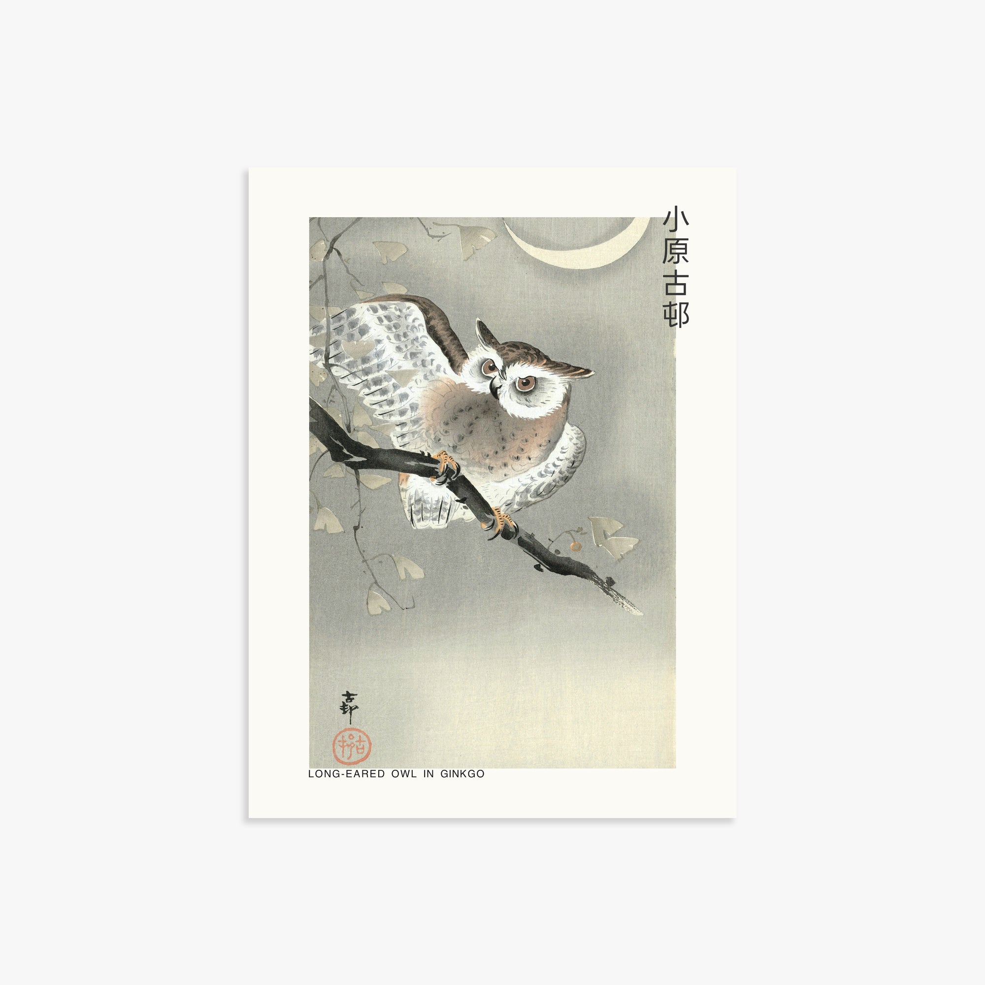 Ohara Koson: Long-eared owl in ginkgo - Japandi, 30x40cm Art Reproduction Unframed