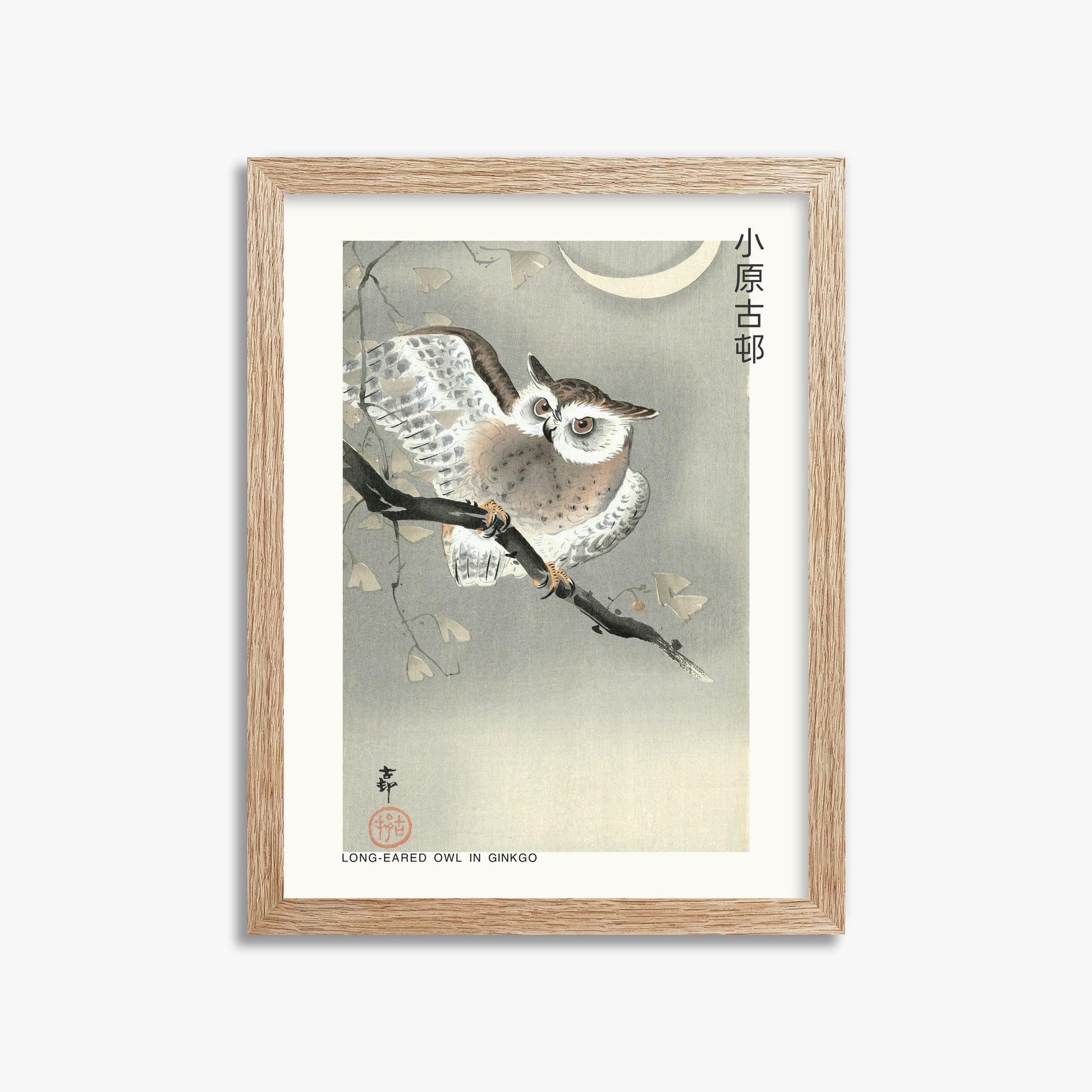 Ohara Koson: Long-eared owl in ginkgo - Japandi, 30x40cm Framed Art Reproduction With Raw Oak Frame