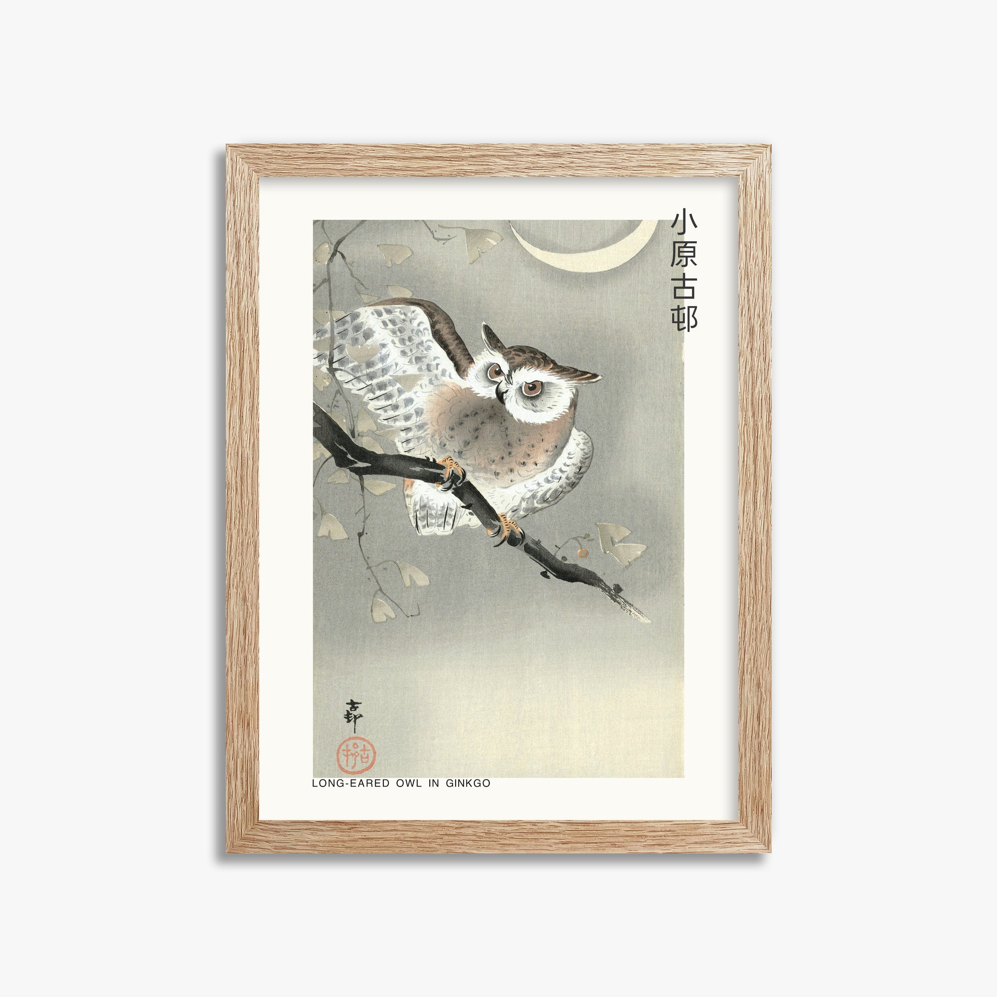 Ohara Koson: Long-eared owl in ginkgo - Japandi, 30x40cm Framed Art Reproduction With Raw Oak Frame