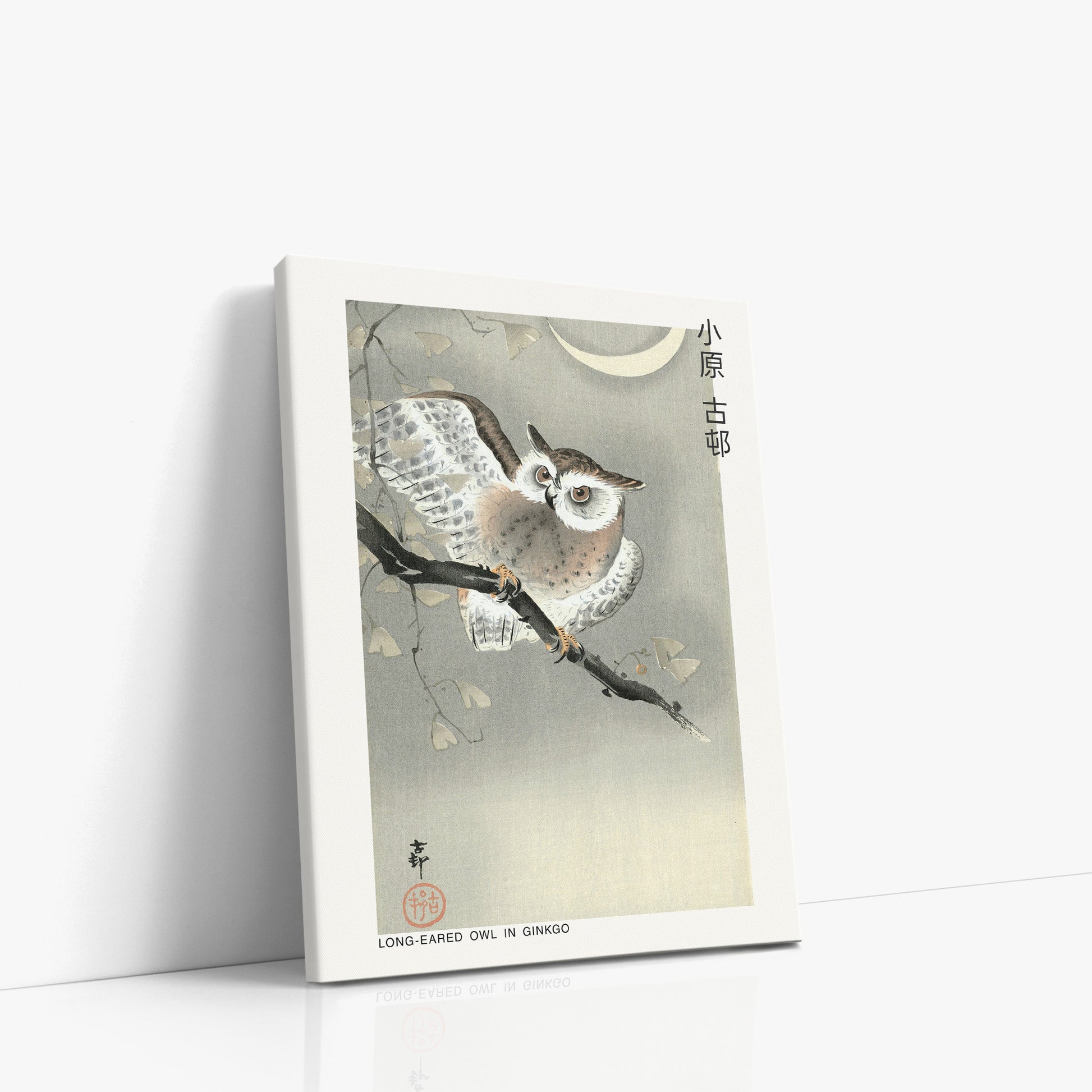 Ohara Koson: Long-eared owl in ginkgo - Japandi, 30x40cm Satin Canvas Art Reproduction Left Angle