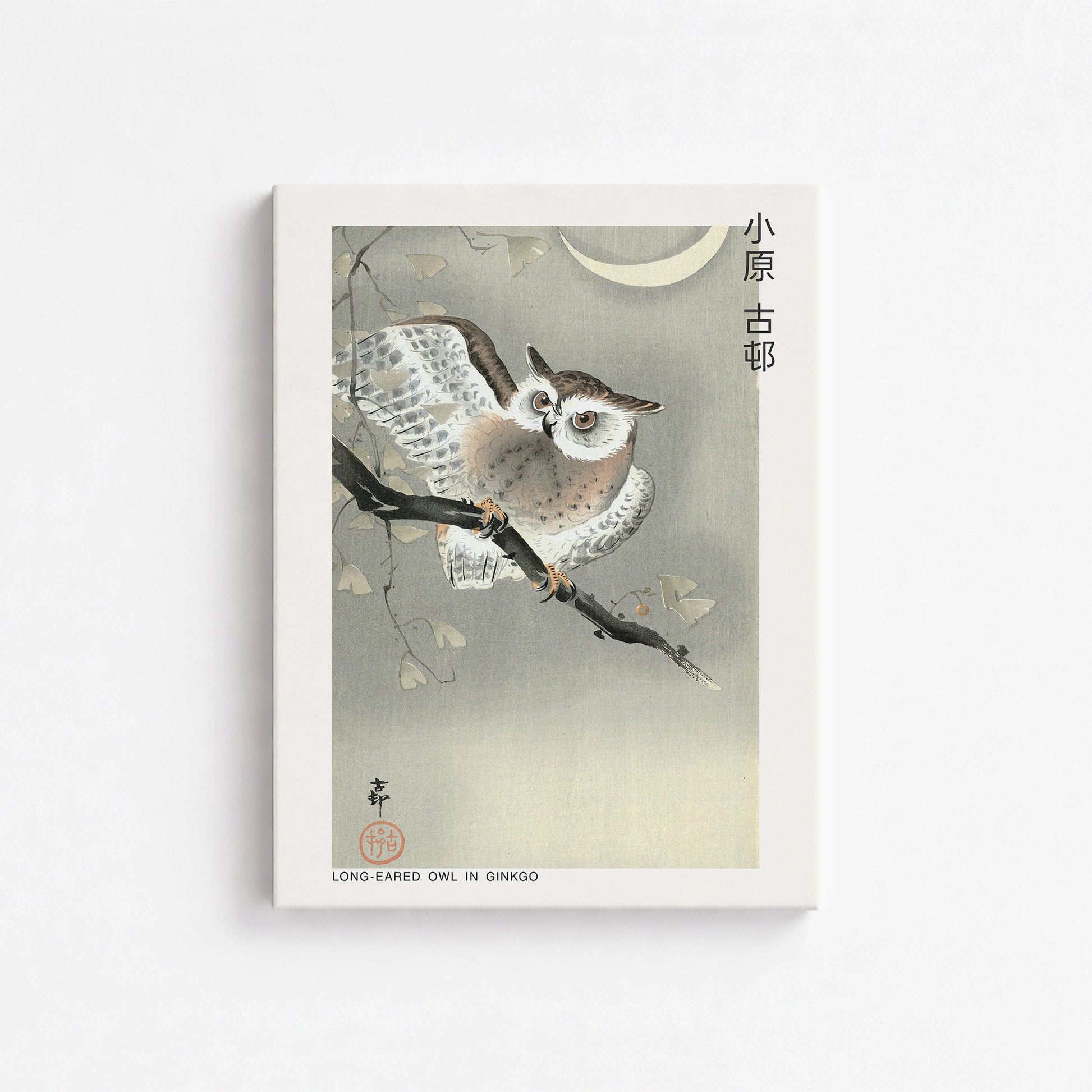 Ohara Koson: Long-eared owl in ginkgo - Japandi, 30x40cm Satin Canvas Art Reproduction