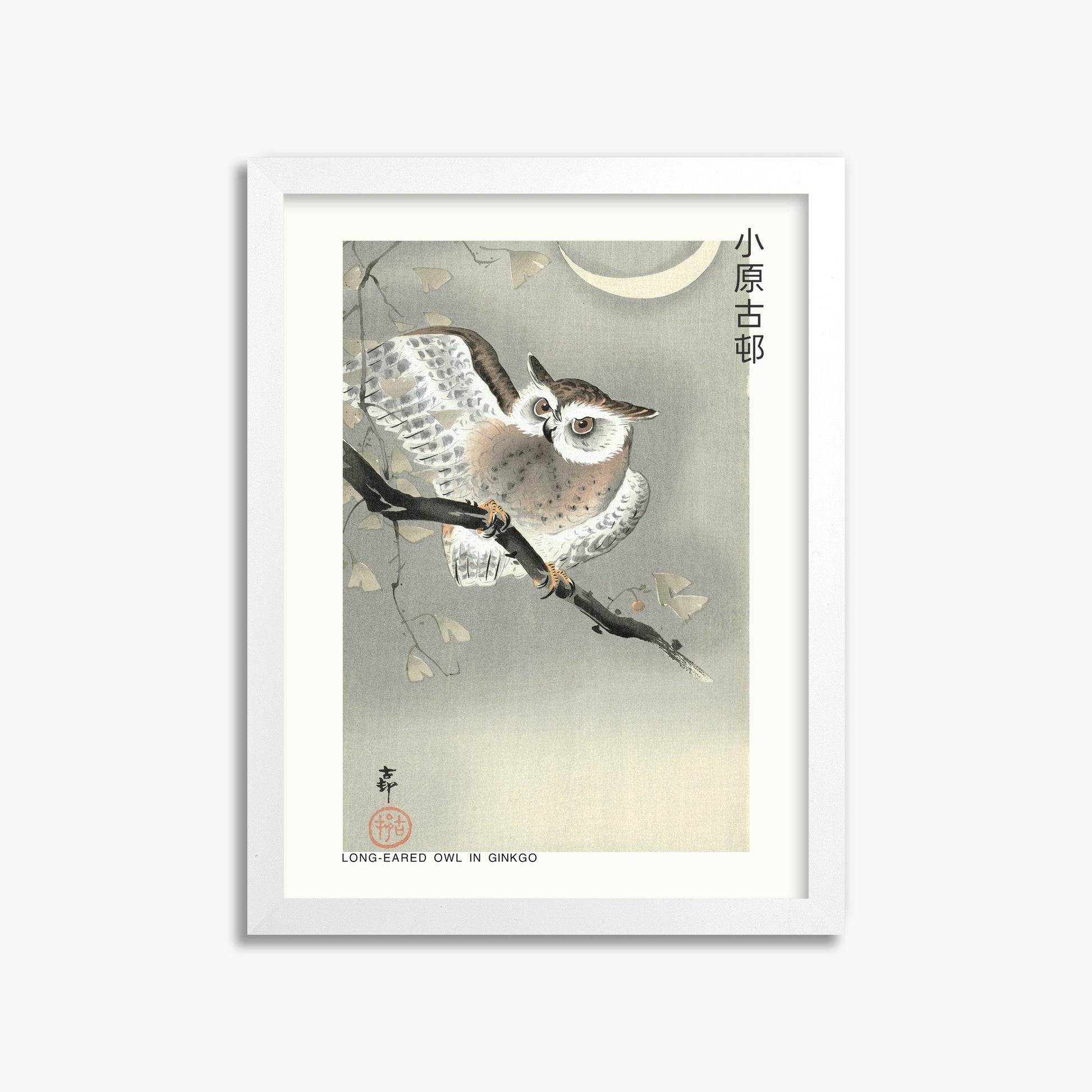 Ohara Koson: Long-eared owl in ginkgo - Japandi, 30x40cm Framed Art Reproduction With White Frame