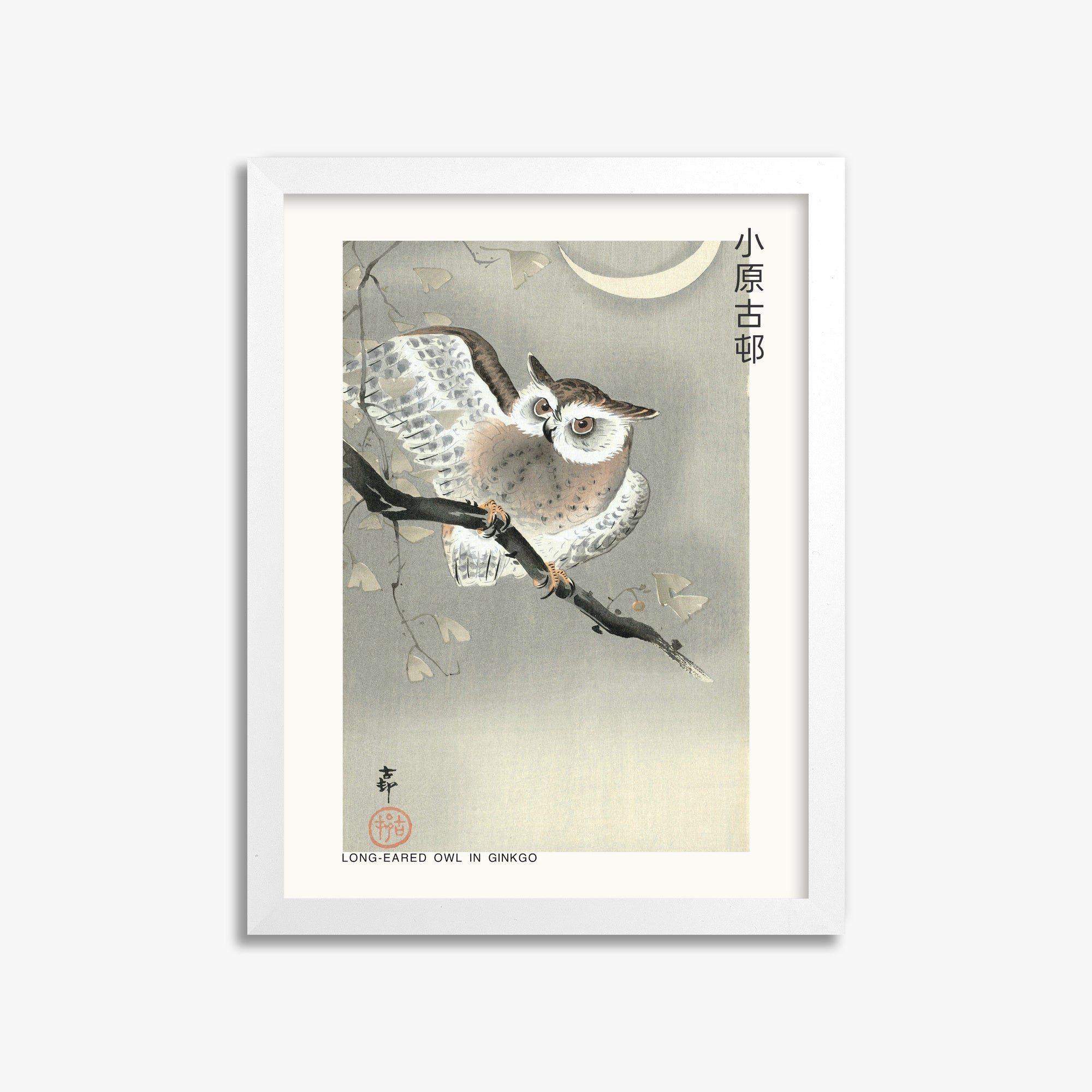 Ohara Koson: Long-eared owl in ginkgo - Japandi, 30x40cm Framed Art Reproduction With White Frame