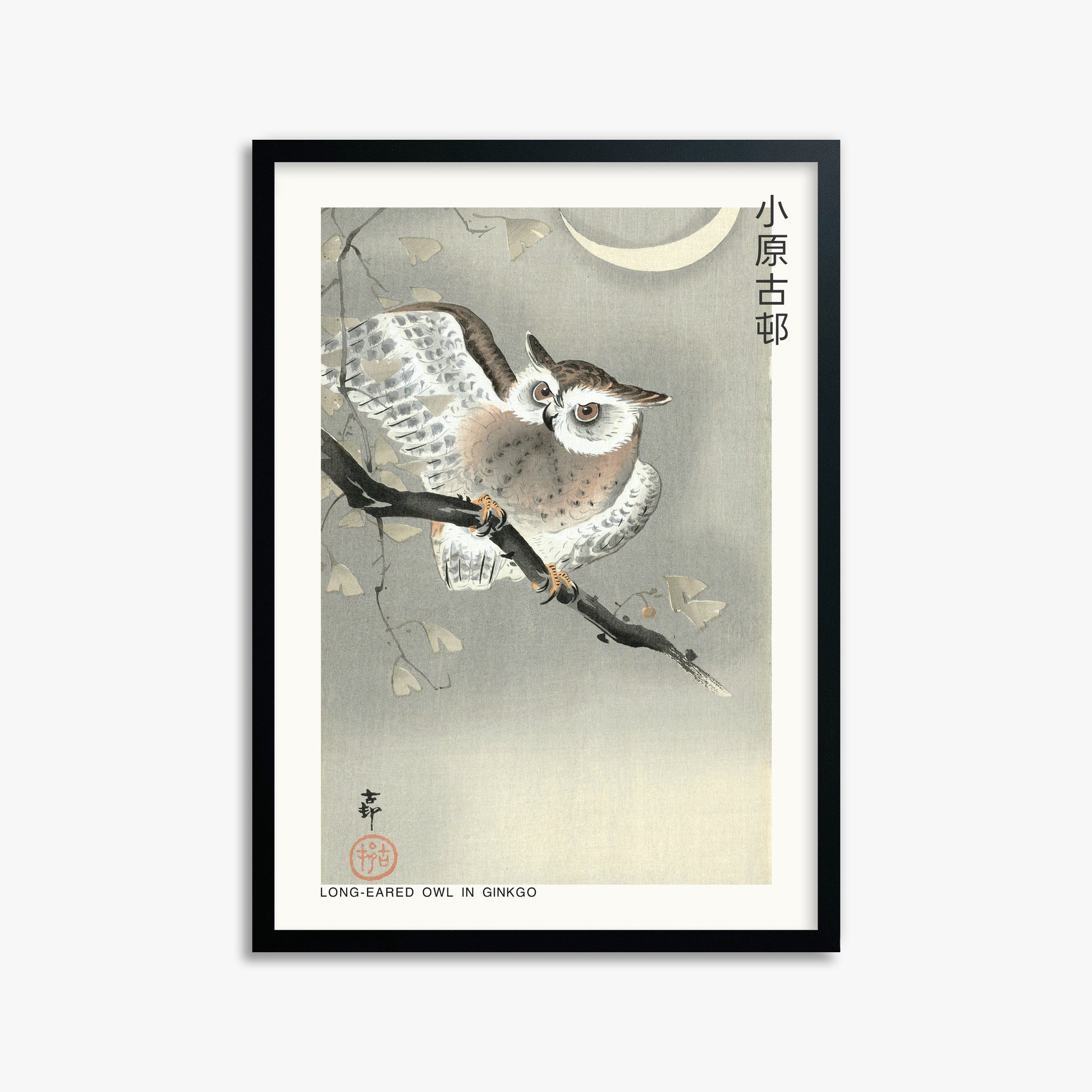 Ohara Koson: Long-eared owl in ginkgo - Japandi, 50x70cm Framed Art Reproduction With Black Frame