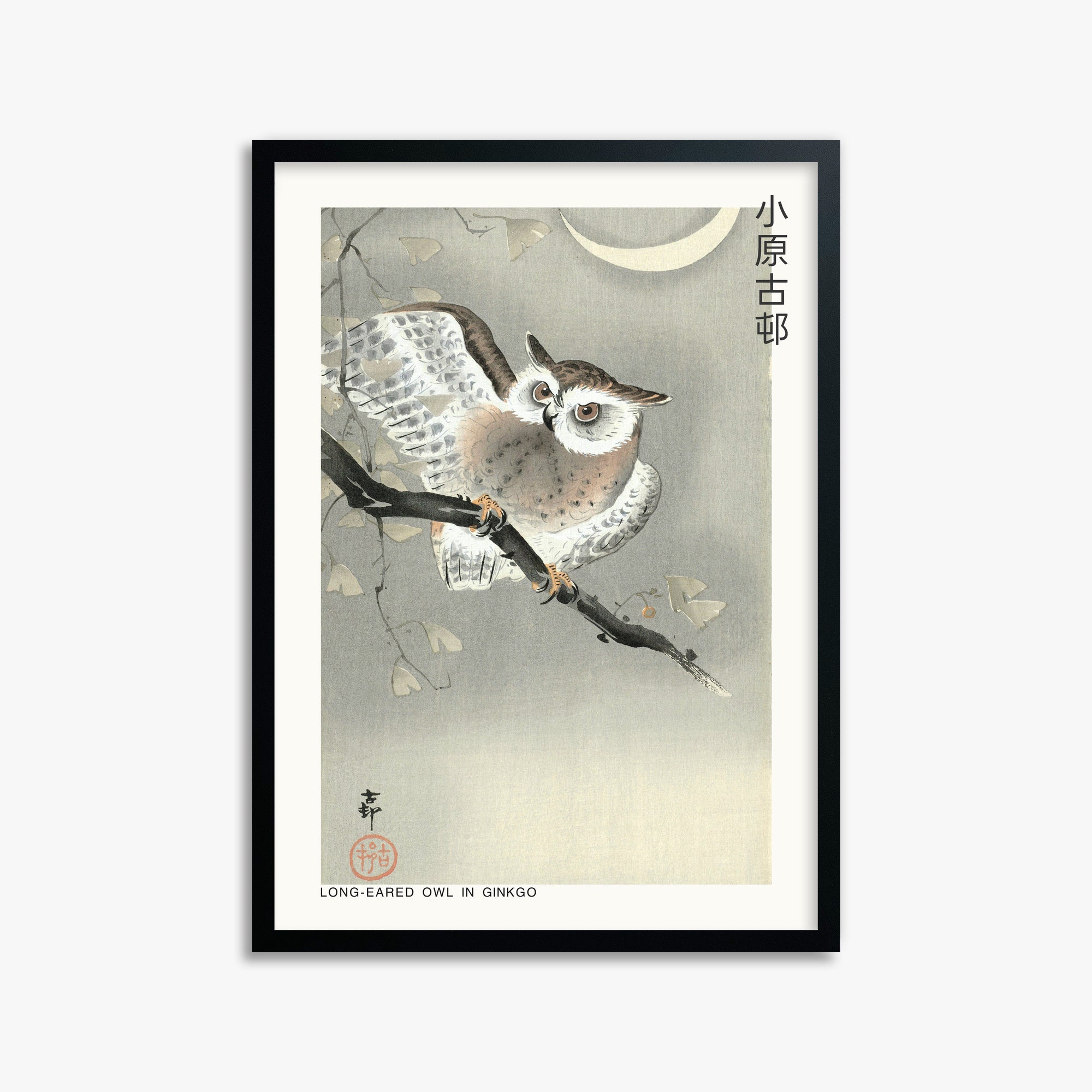 Ohara Koson: Long-eared owl in ginkgo - Japandi, 50x70cm Framed Art Reproduction With Black Frame