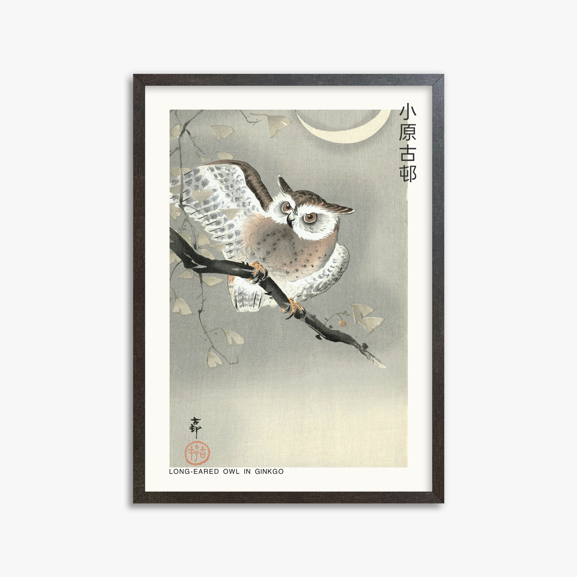 Ohara Koson: Long-eared owl in ginkgo - Japandi, 50x70cm Framed Art Reproduction With Espresso Frame