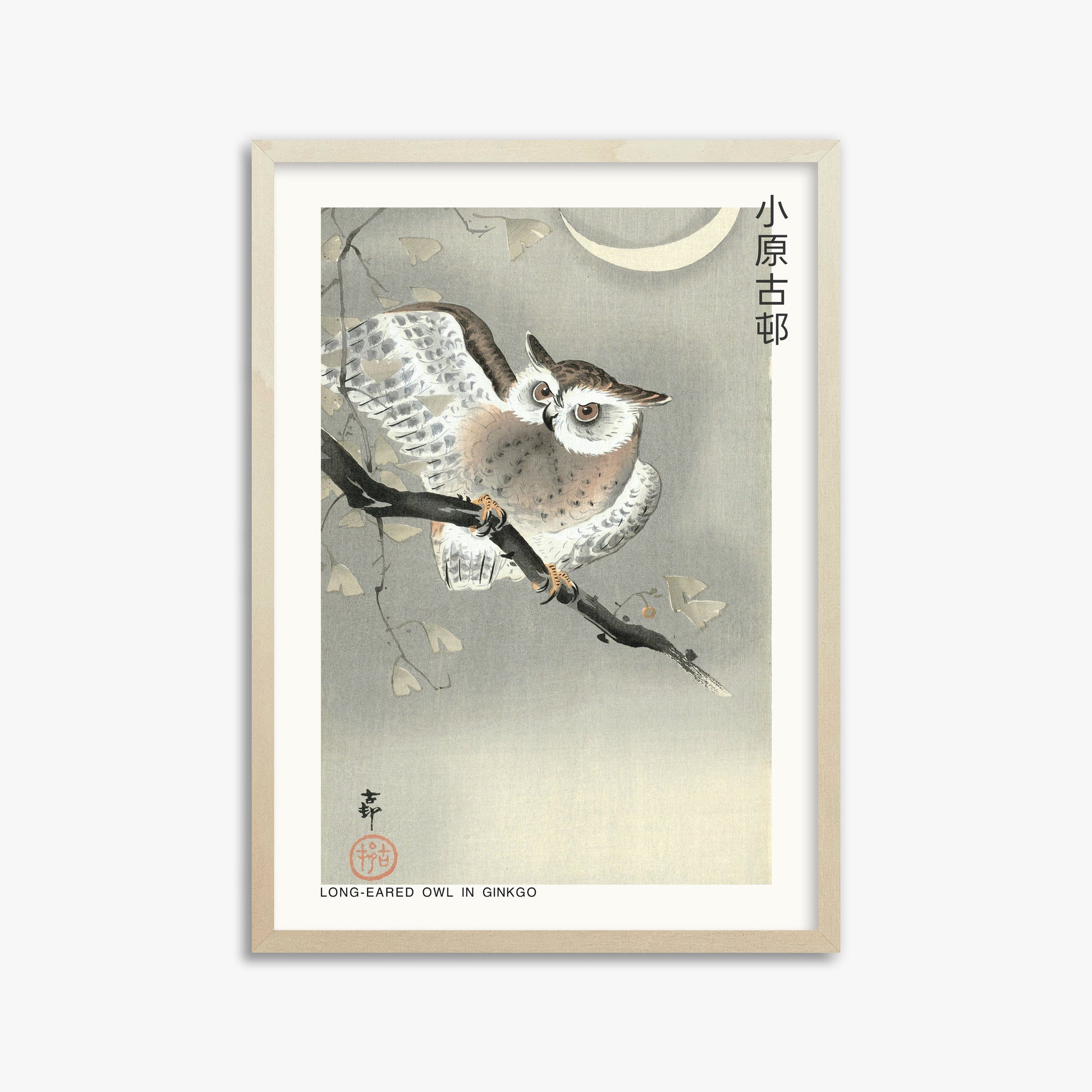 Ohara Koson: Long-eared owl in ginkgo - Japandi, 50x70cm Framed Art Reproduction With Lime Wood Frame