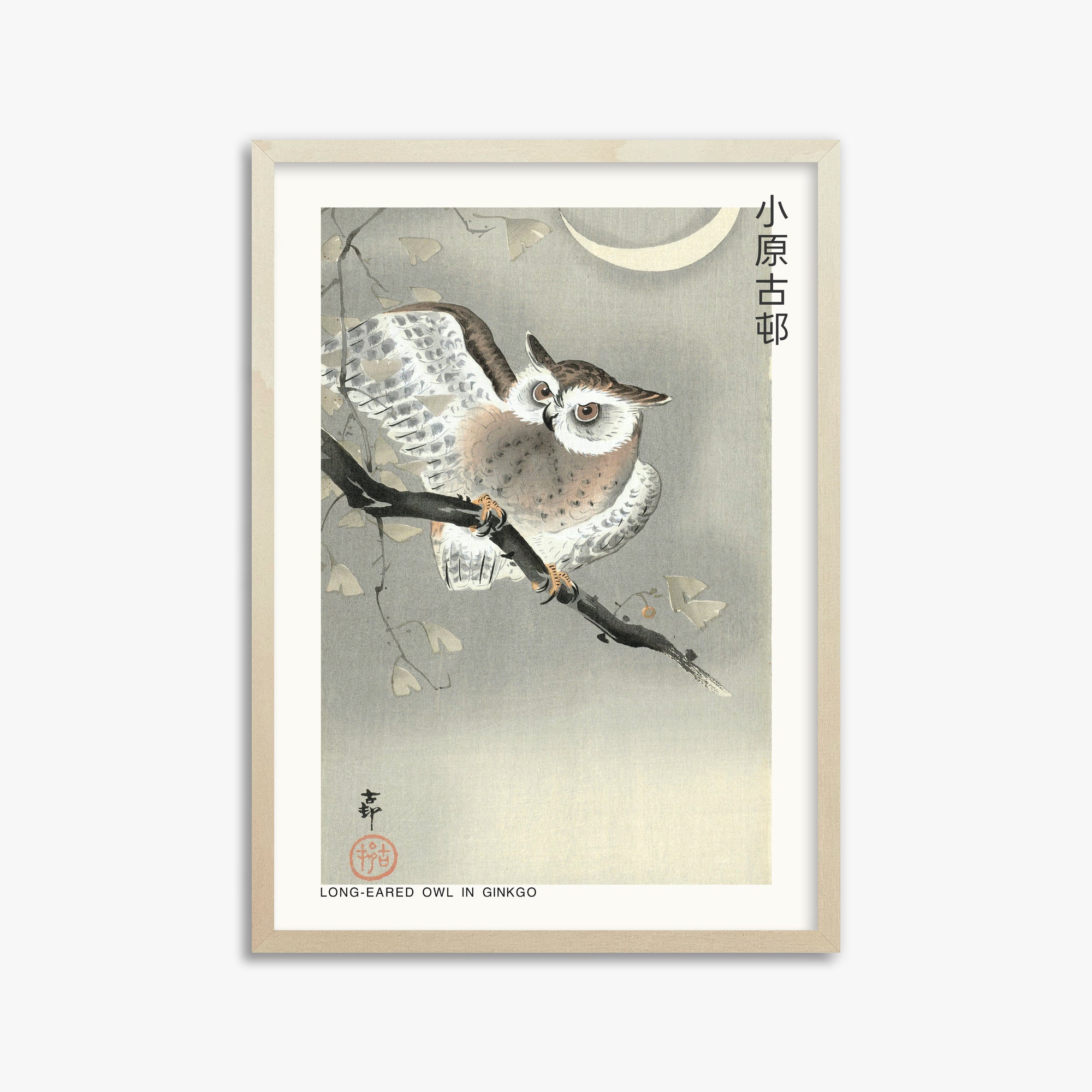 Ohara Koson: Long-eared owl in ginkgo - Japandi, 50x70cm Framed Art Reproduction With Lime Wood Frame