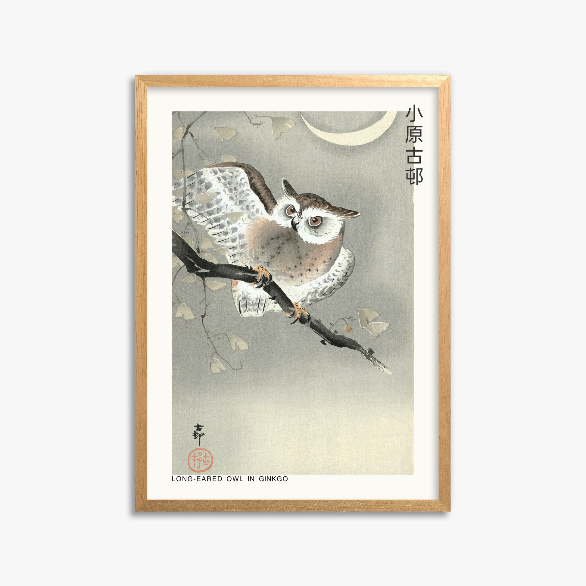 Ohara Koson: Long-eared owl in ginkgo - Japandi, 50x70cm Framed Art Reproduction With Oak Frame