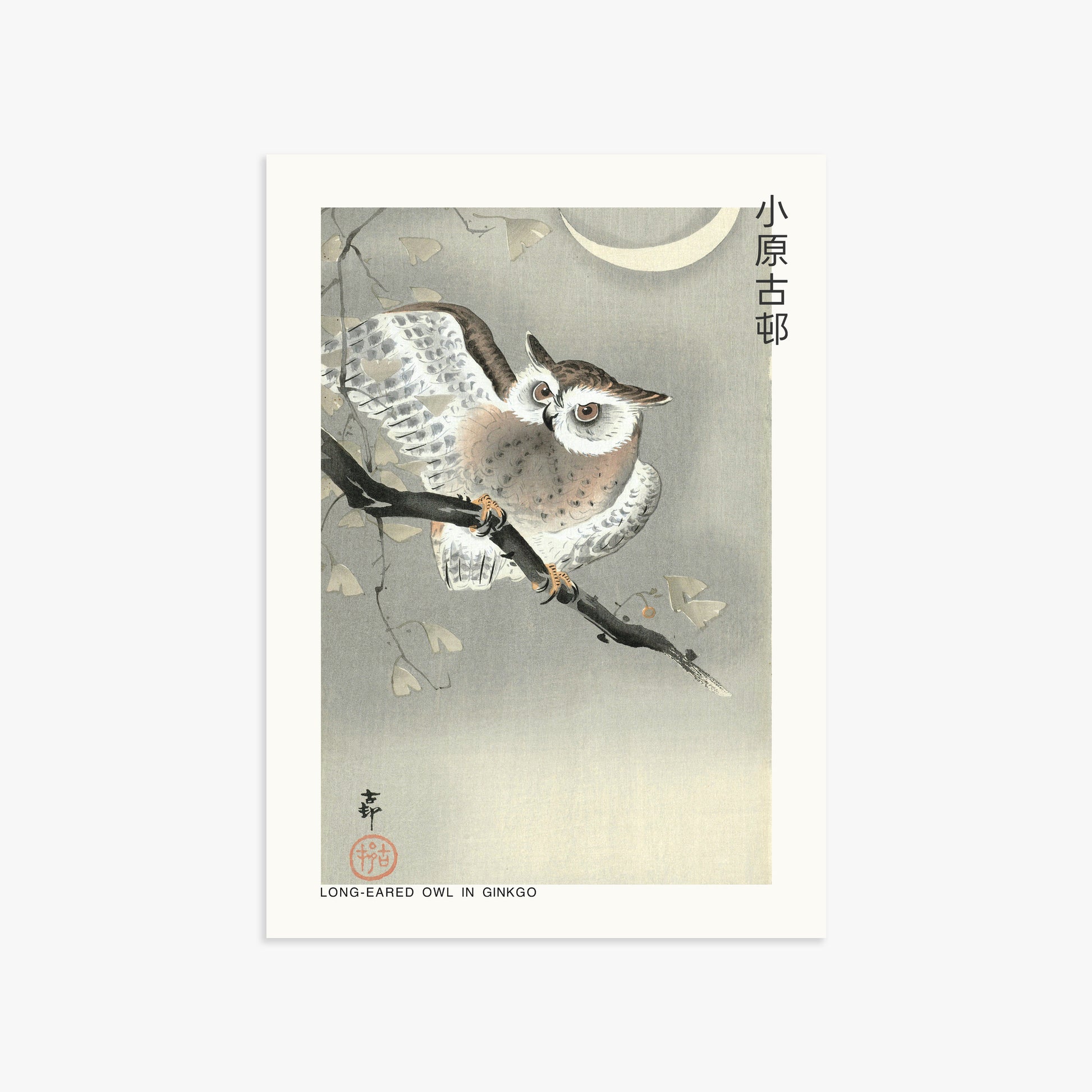 Ohara Koson: Long-eared owl in ginkgo - Japandi, 50x70cm Art Reproduction Unframed