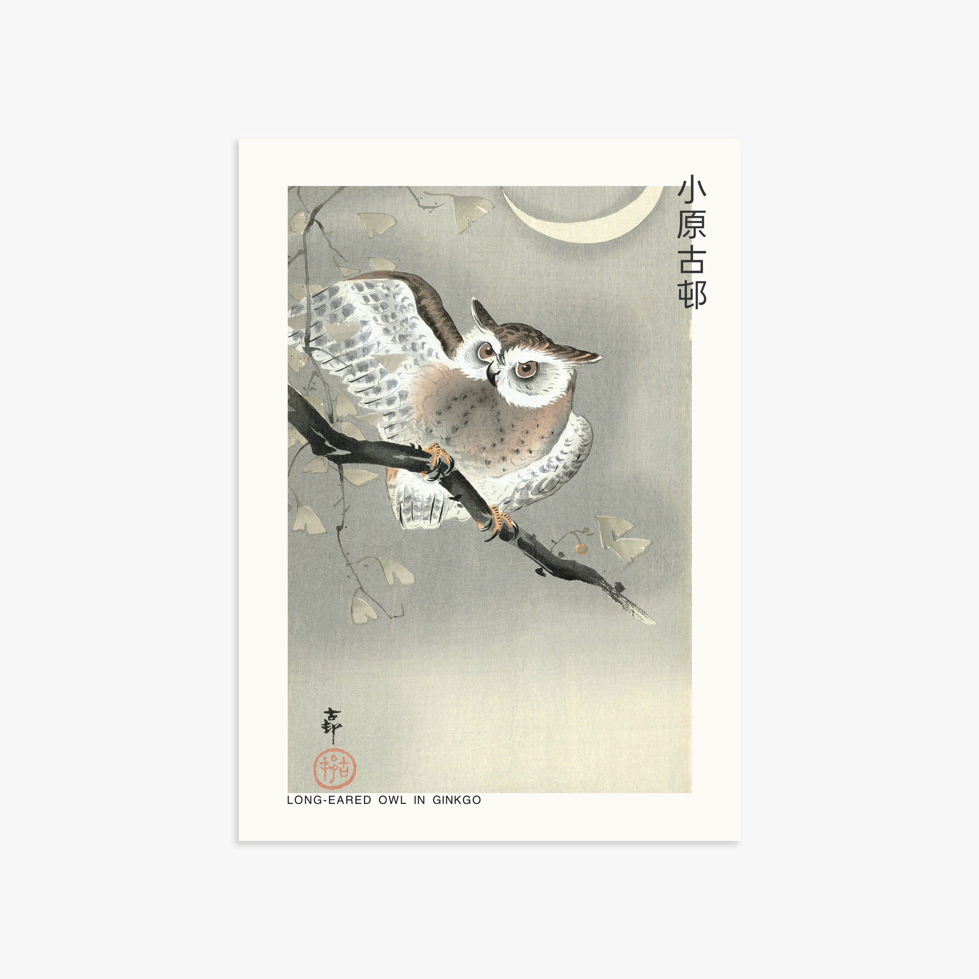 Ohara Koson: Long-eared owl in ginkgo - Japandi, 50x70cm Art Reproduction Unframed