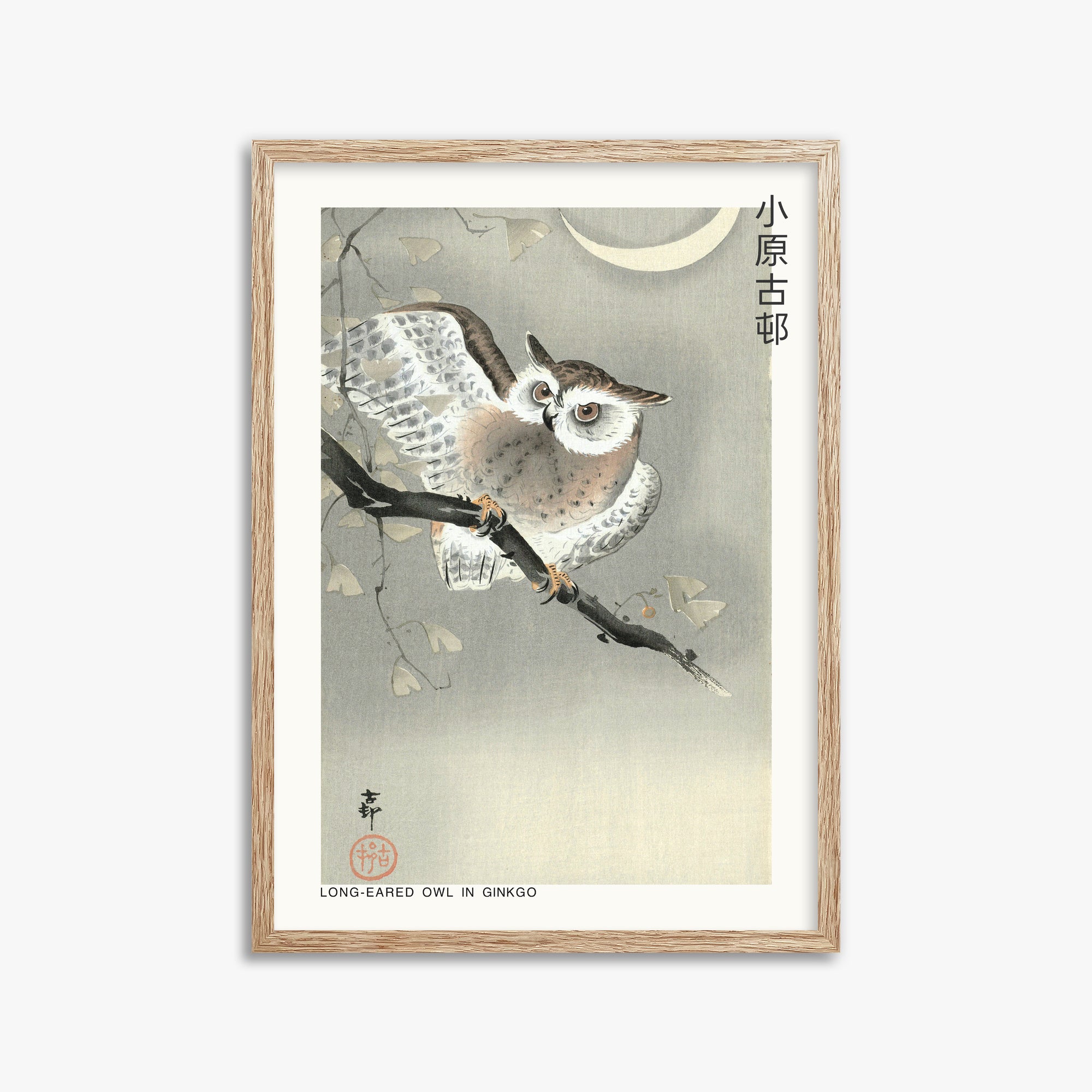 Ohara Koson: Long-eared owl in ginkgo - Japandi, 50x70cm Framed Art Reproduction With Raw Oak Frame