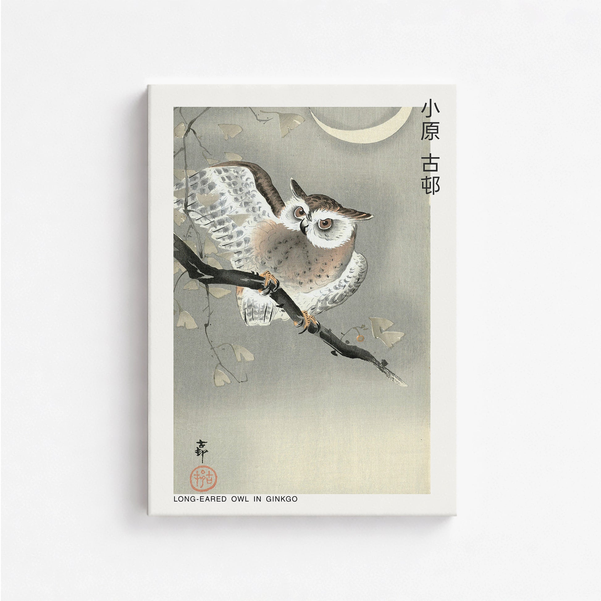 Ohara Koson: Long-eared owl in ginkgo - Japandi, 50x70cm Satin Canvas Art Reproduction