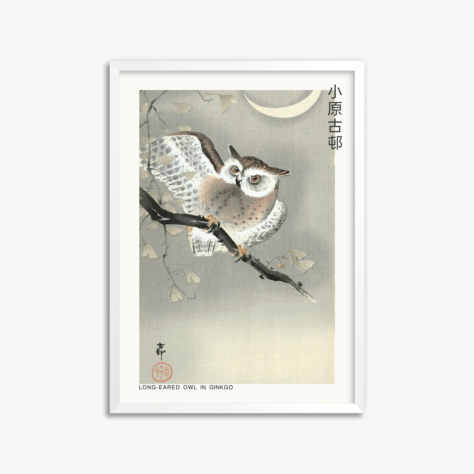 Ohara Koson: Long-eared owl in ginkgo - Japandi, 50x70cm Framed Art Reproduction With White Frame