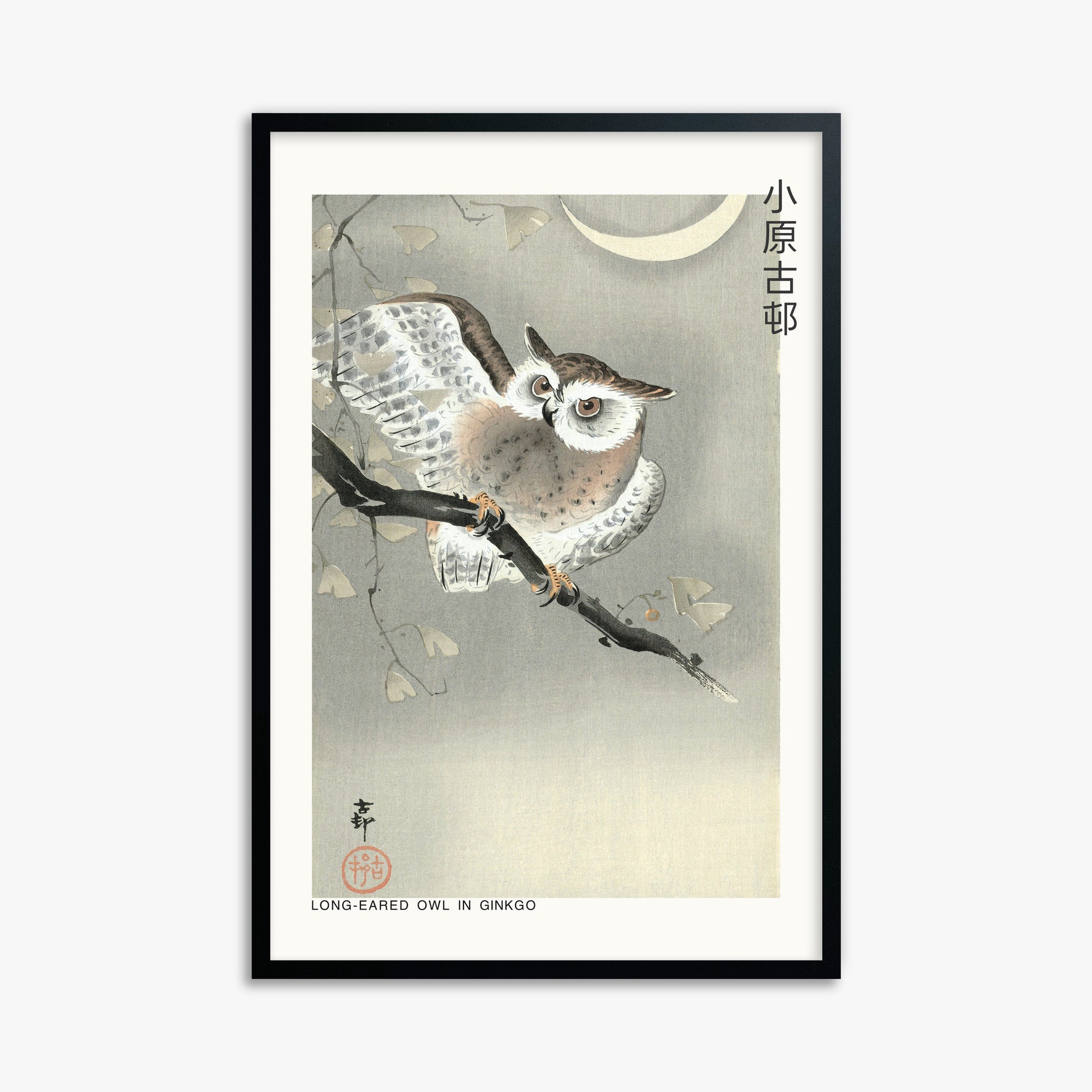 Ohara Koson: Long-eared owl in ginkgo - Japandi, 61x91cm Framed Art Reproduction With Black Frame
