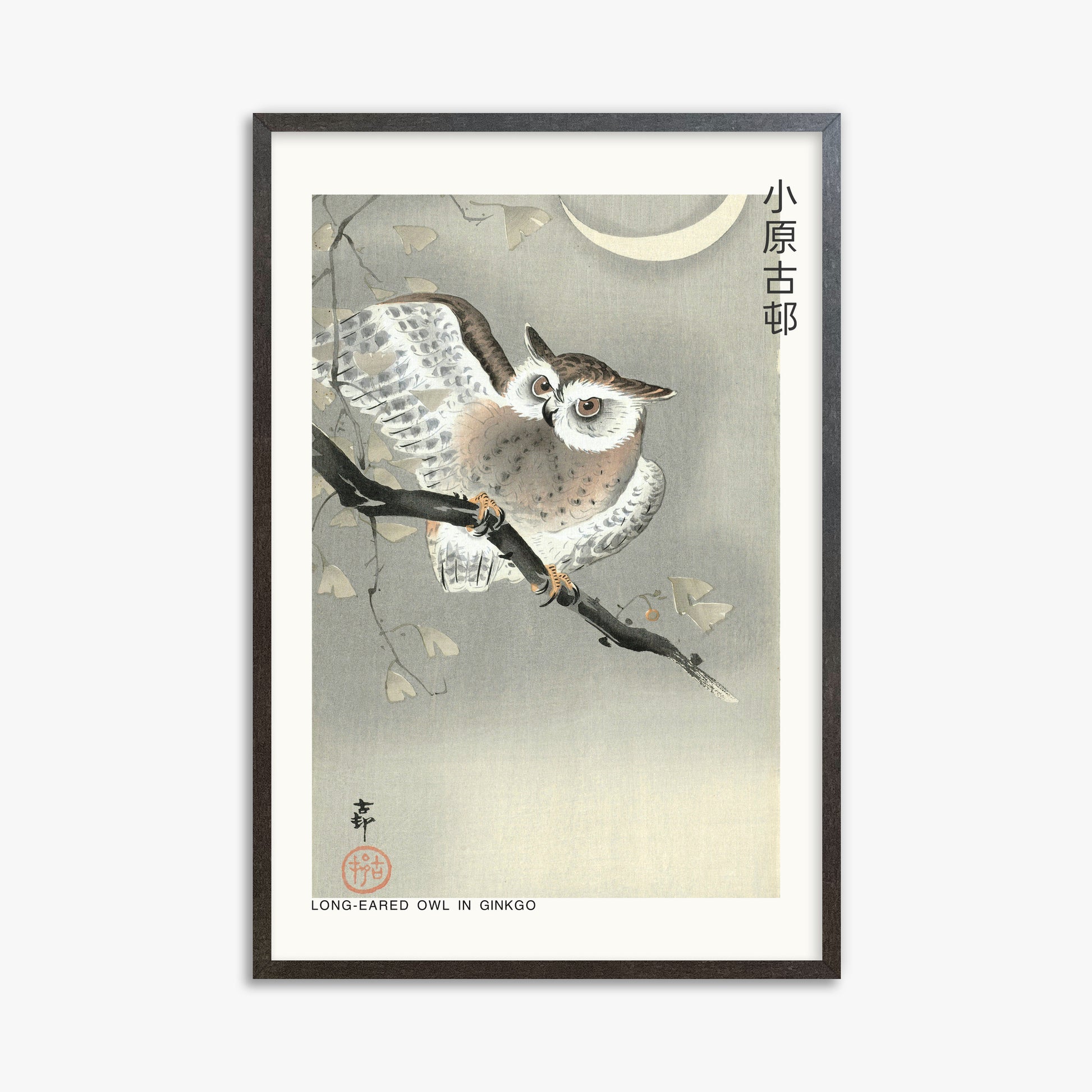 Ohara Koson: Long-eared owl in ginkgo - Japandi, 61x91cm Framed Art Reproduction With Espresso Frame