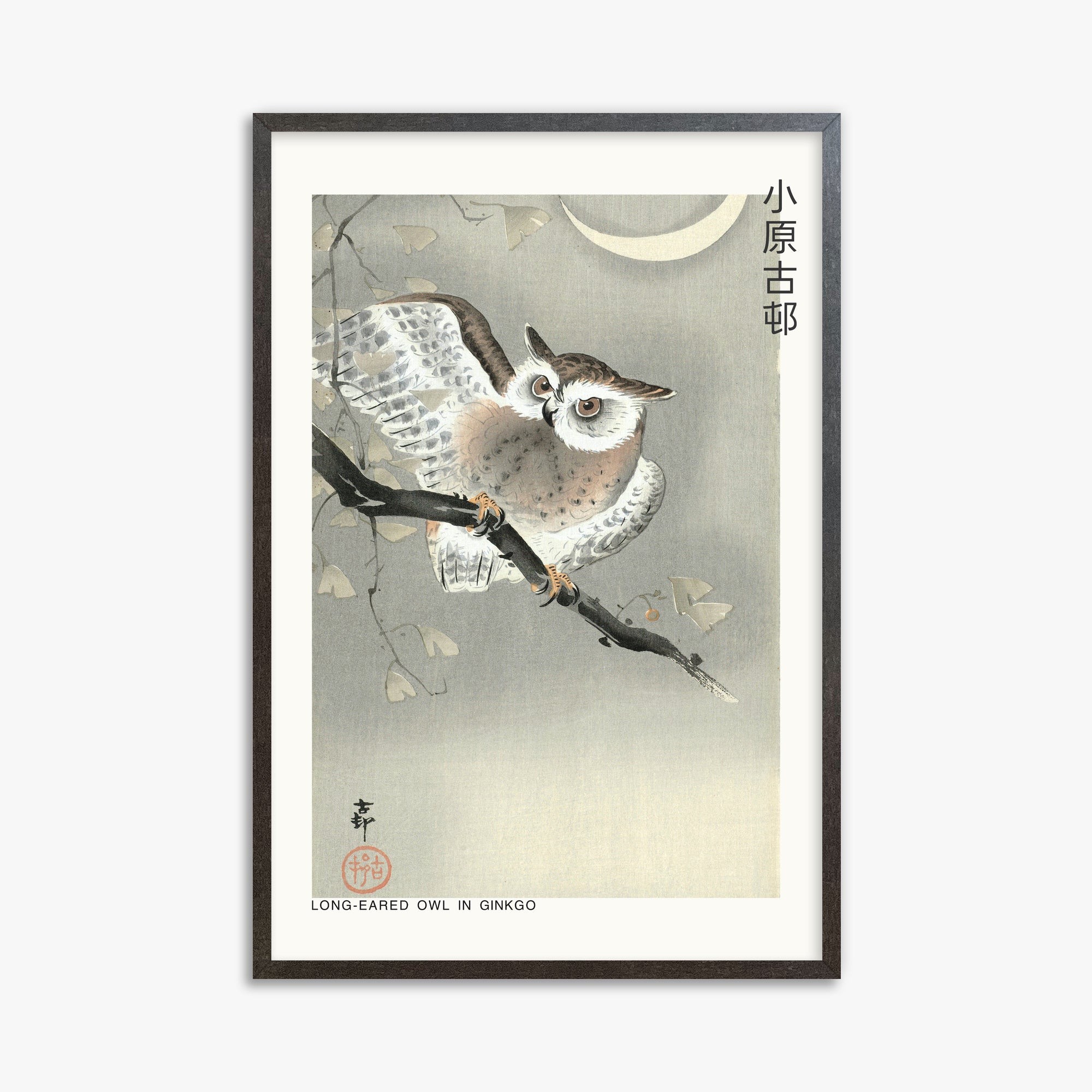 Ohara Koson: Long-eared owl in ginkgo - Japandi, 61x91cm Framed Art Reproduction With Espresso Frame
