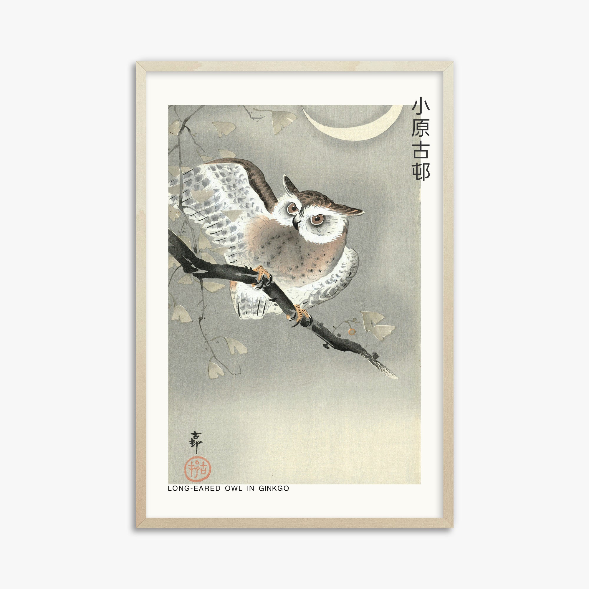 Ohara Koson: Long-eared owl in ginkgo - Japandi, 61x91cm Framed Art Reproduction With Lime Wood Frame