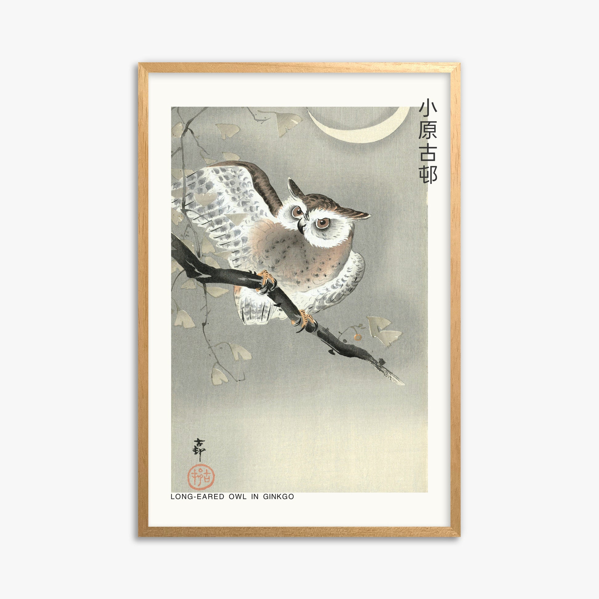 Ohara Koson: Long-eared owl in ginkgo - Japandi, 61x91cm Framed Art Reproduction With Oak Frame
