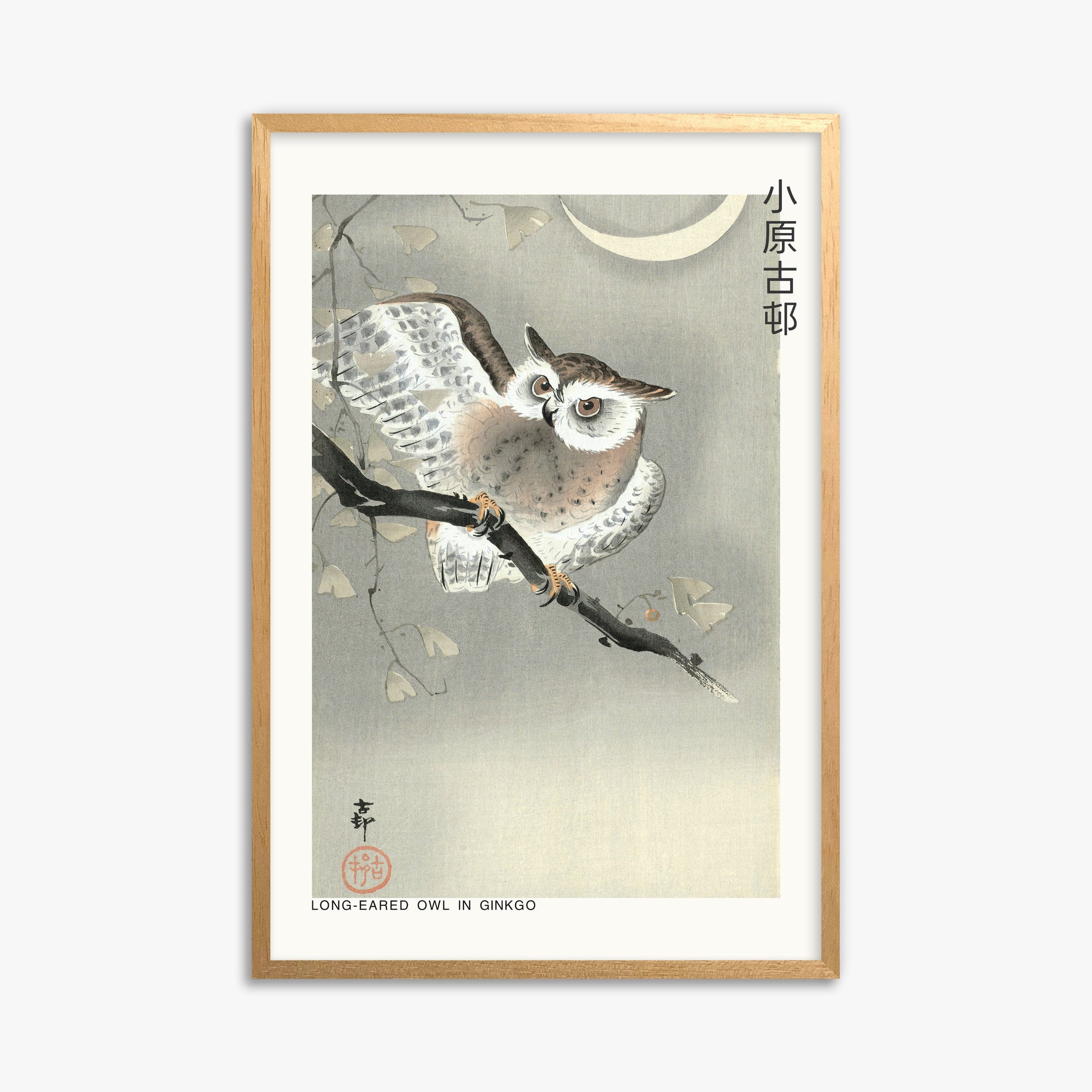 Ohara Koson: Long-eared owl in ginkgo - Japandi, 61x91cm Framed Art Reproduction With Oak Frame