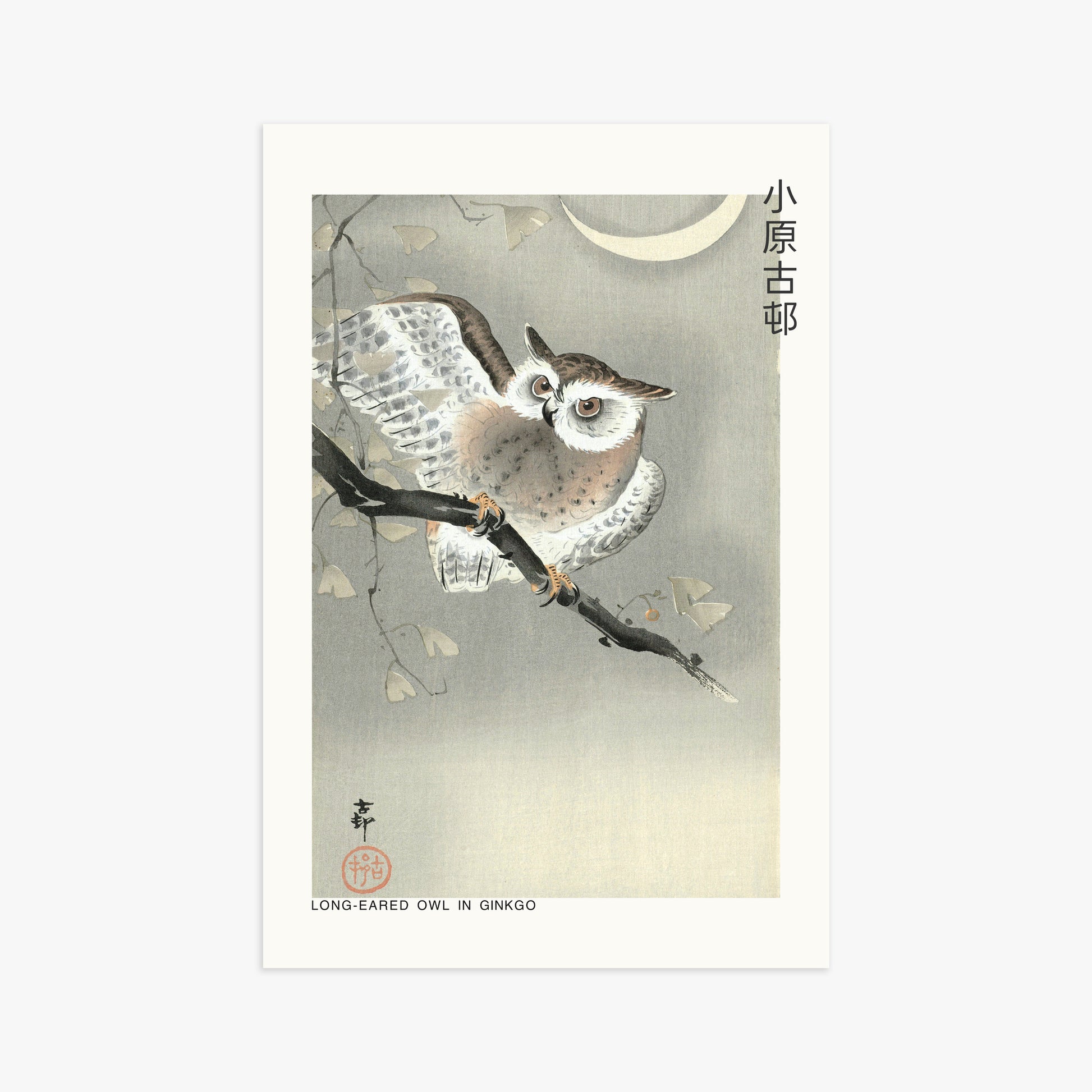 Ohara Koson: Long-eared owl in ginkgo - Japandi, 61x91cm Art Reproduction Unframed