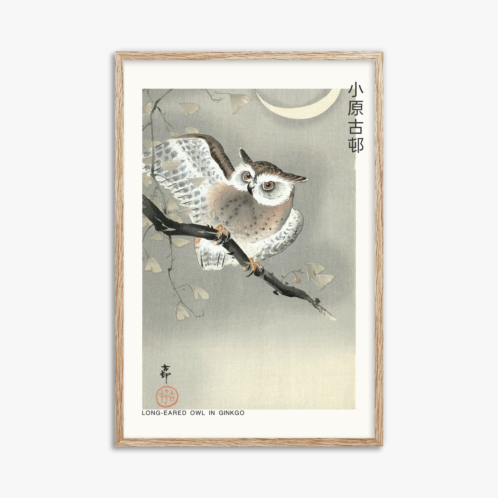 Ohara Koson: Long-eared owl in ginkgo - Japandi, 61x91cm Framed Art Reproduction With Raw Oak Frame