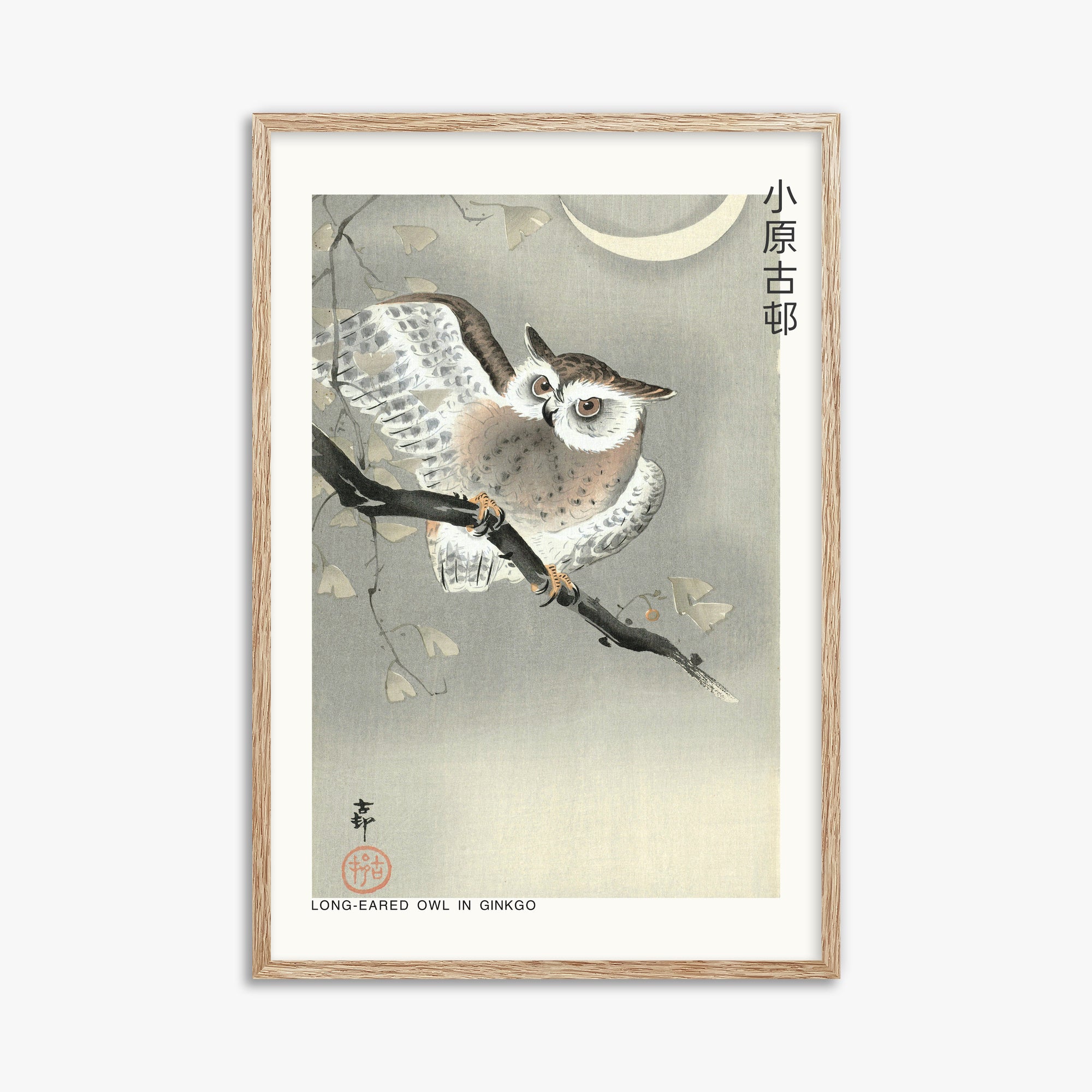 Ohara Koson: Long-eared owl in ginkgo - Japandi, 61x91cm Framed Art Reproduction With Raw Oak Frame