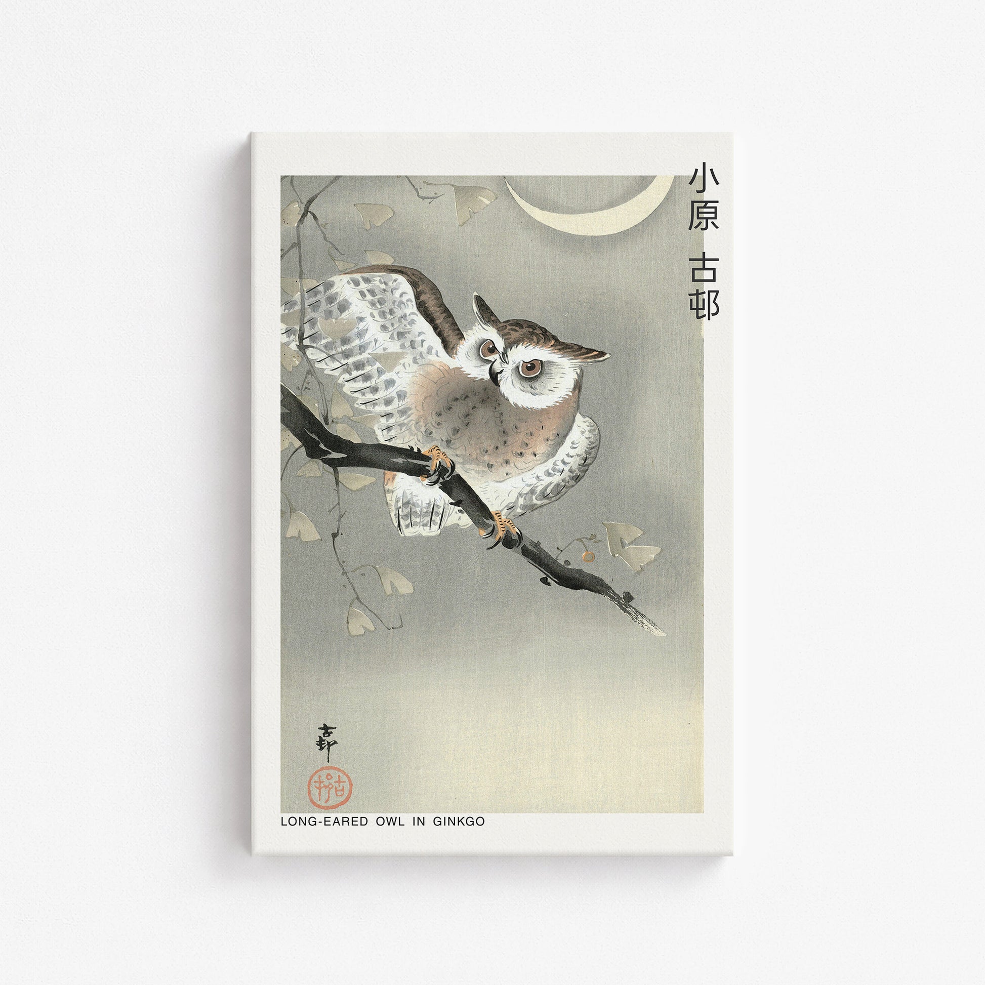 Ohara Koson: Long-eared owl in ginkgo - Japandi, 61x91cm Satin Canvas Art Reproduction