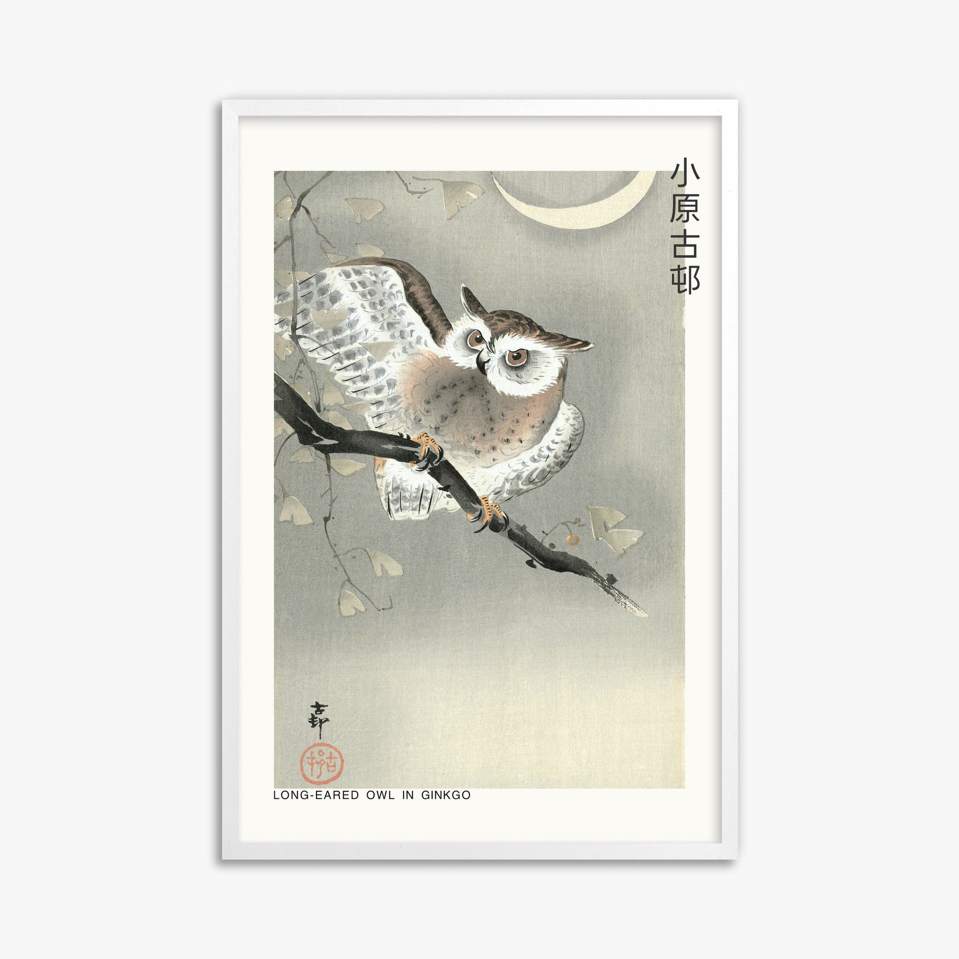 Ohara Koson: Long-eared owl in ginkgo - Japandi, 61x91cm Framed Art Reproduction With White Frame