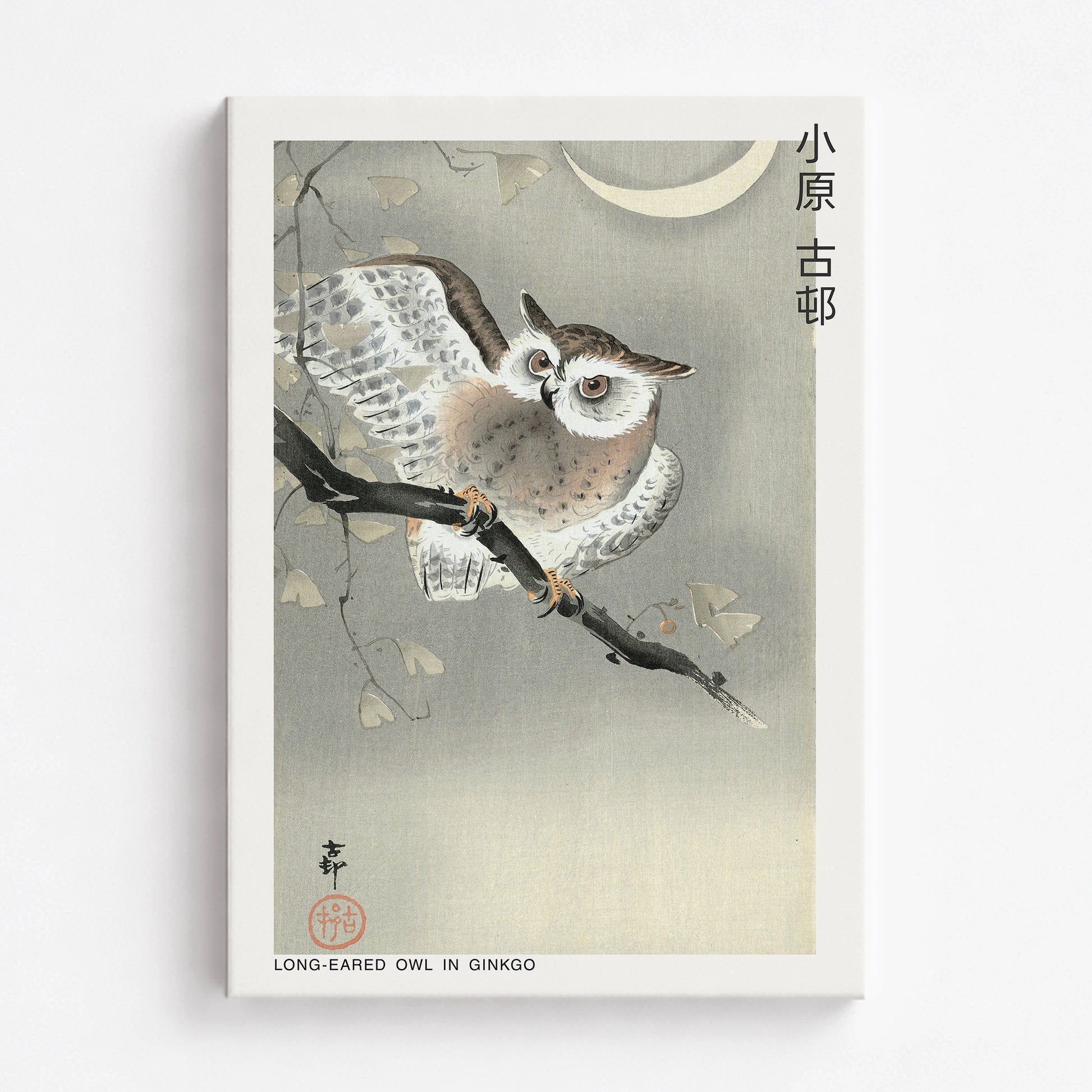 Ohara Koson: Long-eared owl in ginkgo - Japandi, 70x100cm Satin Canvas Art Reproduction