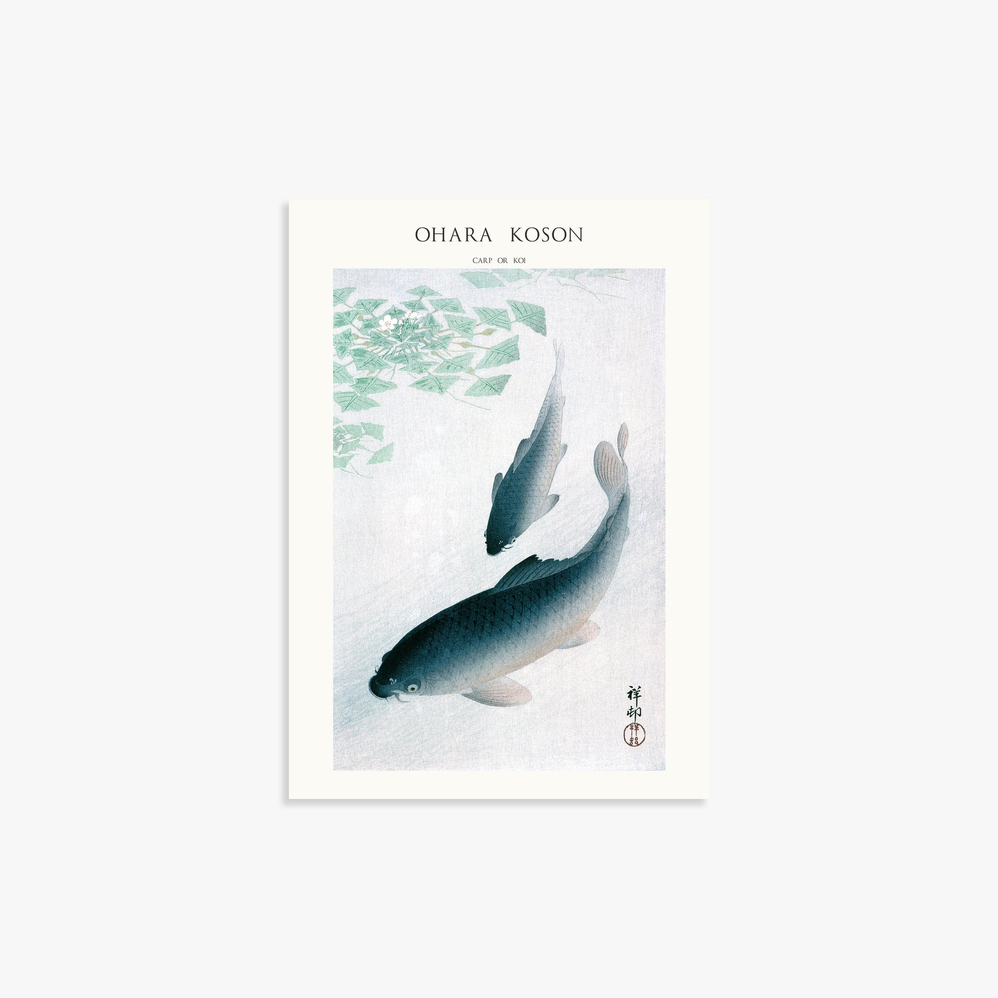Ohara Koson: Carp or Koi - Japandi, 21x30cm Art Reproduction Unframed