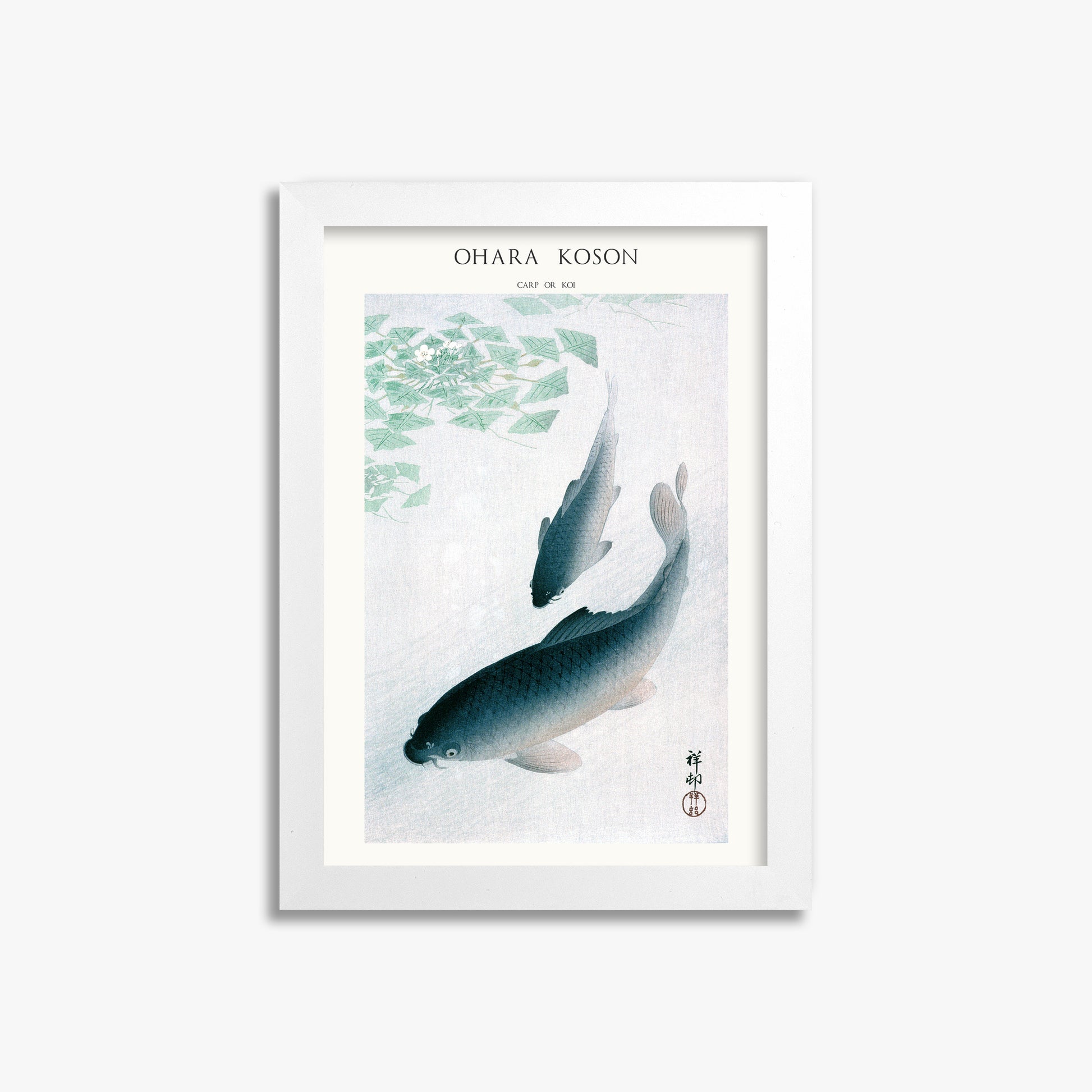 Ohara Koson: Carp or Koi - Japandi, 21x30cm Framed Art Reproduction With White Frame