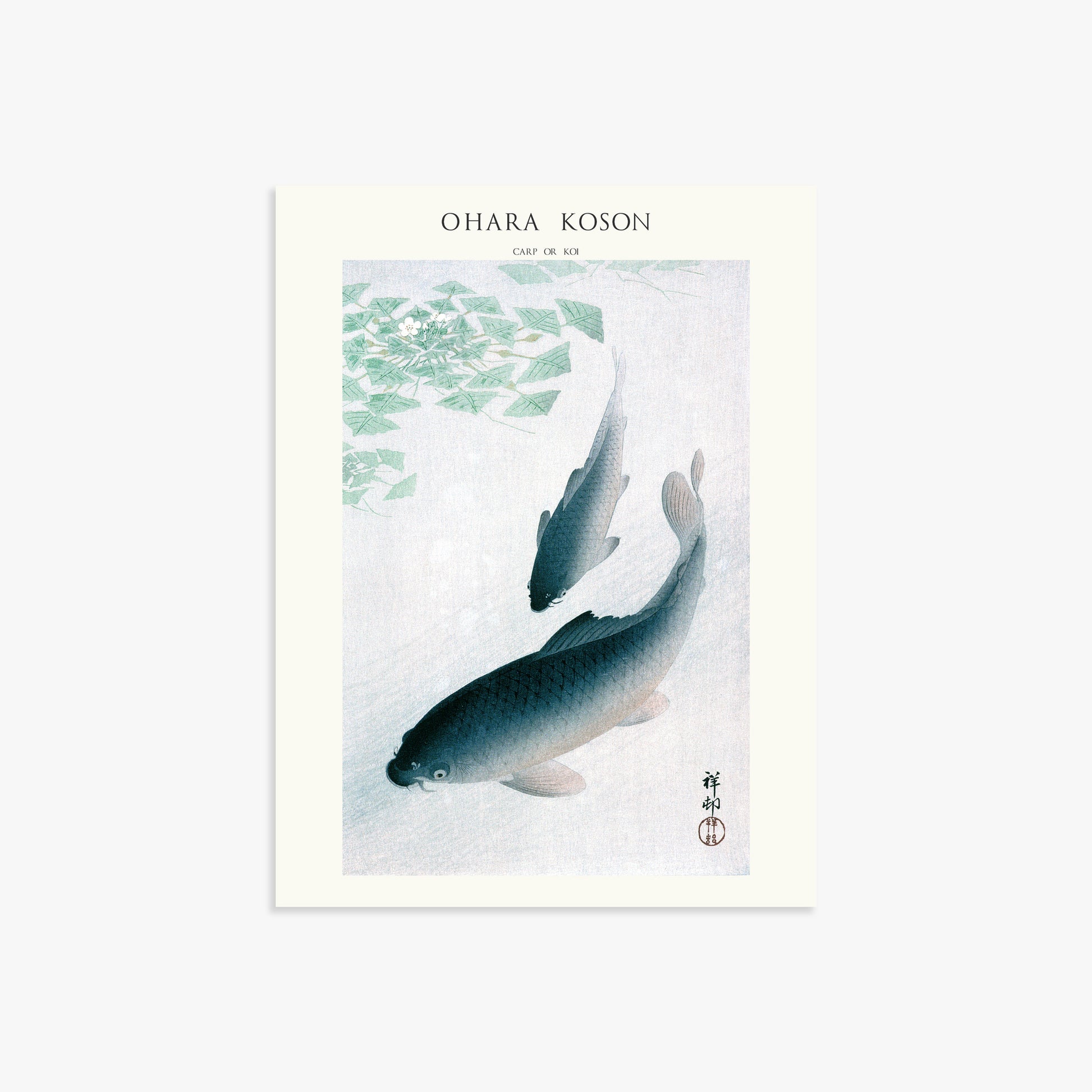 Ohara Koson: Carp or Koi - Japandi, 30x40cm Art Reproduction Unframed