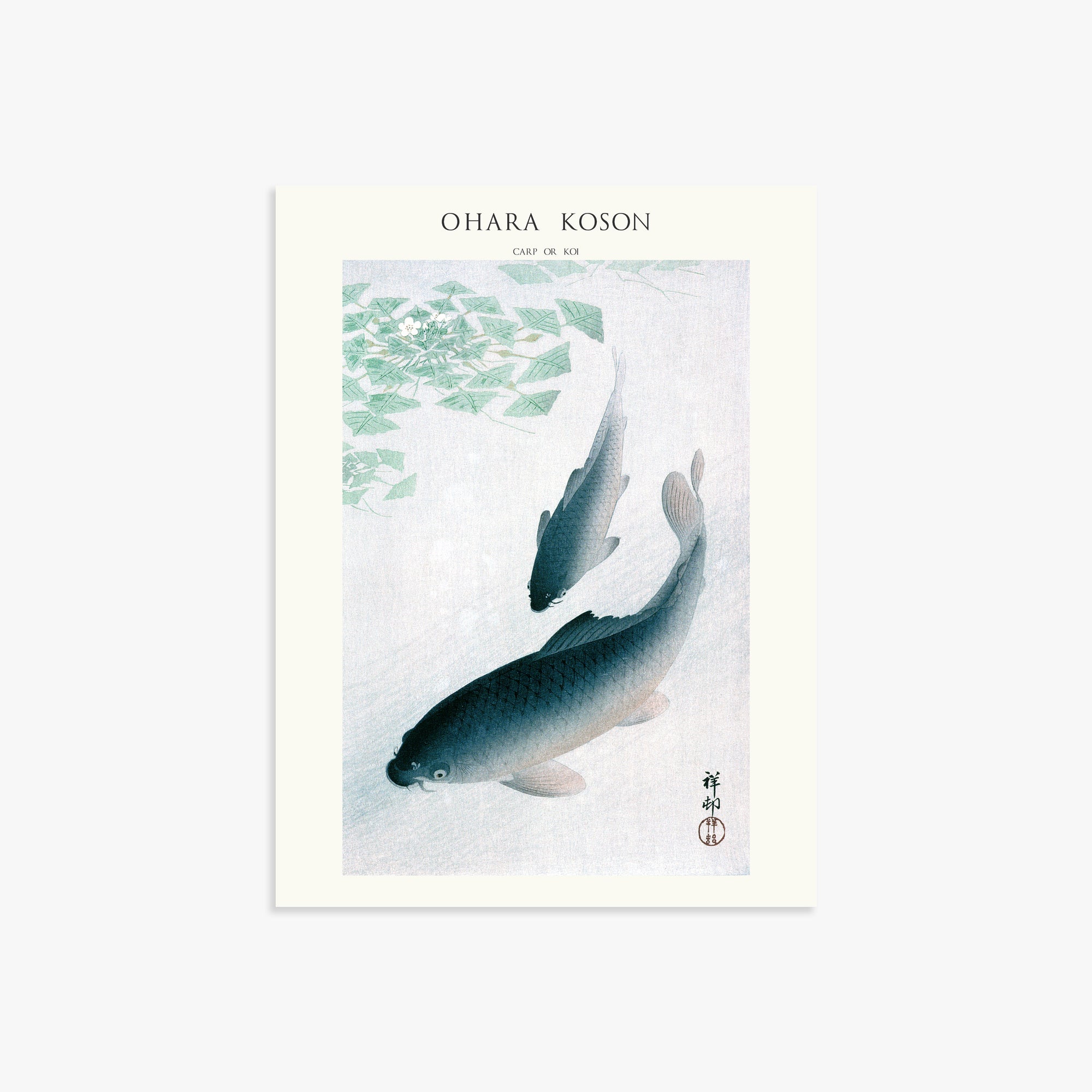 Ohara Koson: Carp or Koi - Japandi, 30x40cm Art Reproduction Unframed