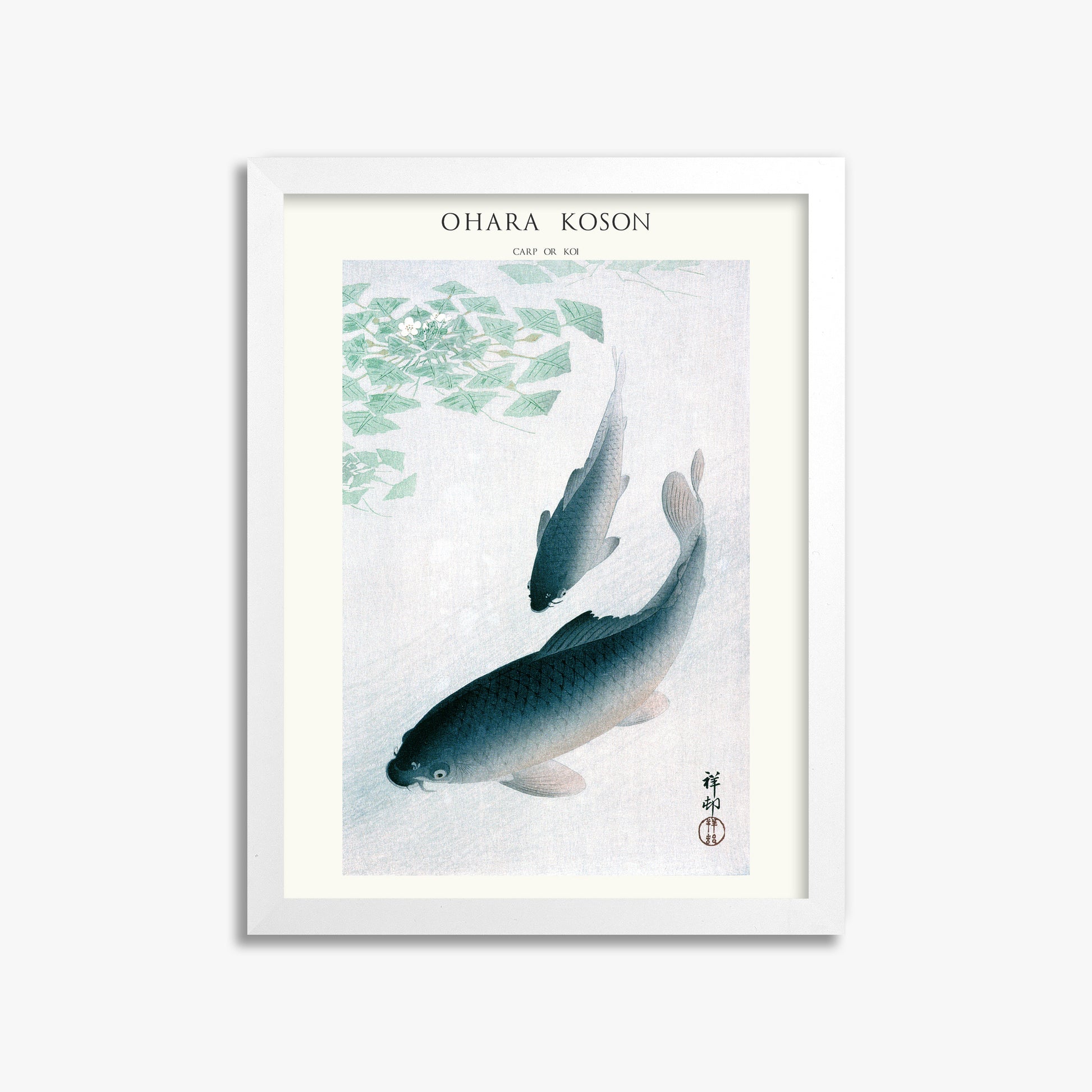 Ohara Koson: Carp or Koi - Japandi, 30x40cm Framed Art Reproduction With White Frame