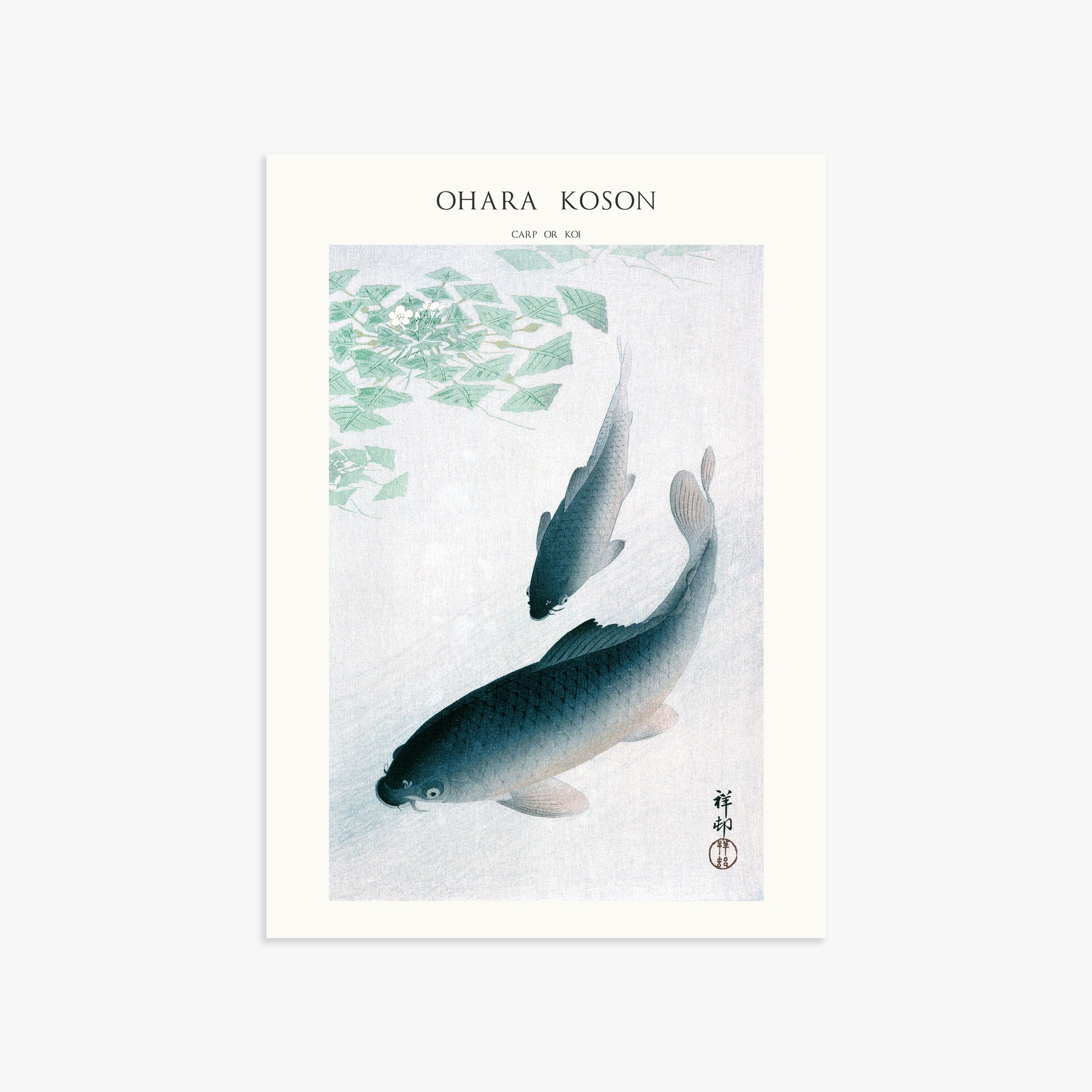 Ohara Koson: Carp or Koi - Japandi, 50x70cm Art Reproduction Unframed