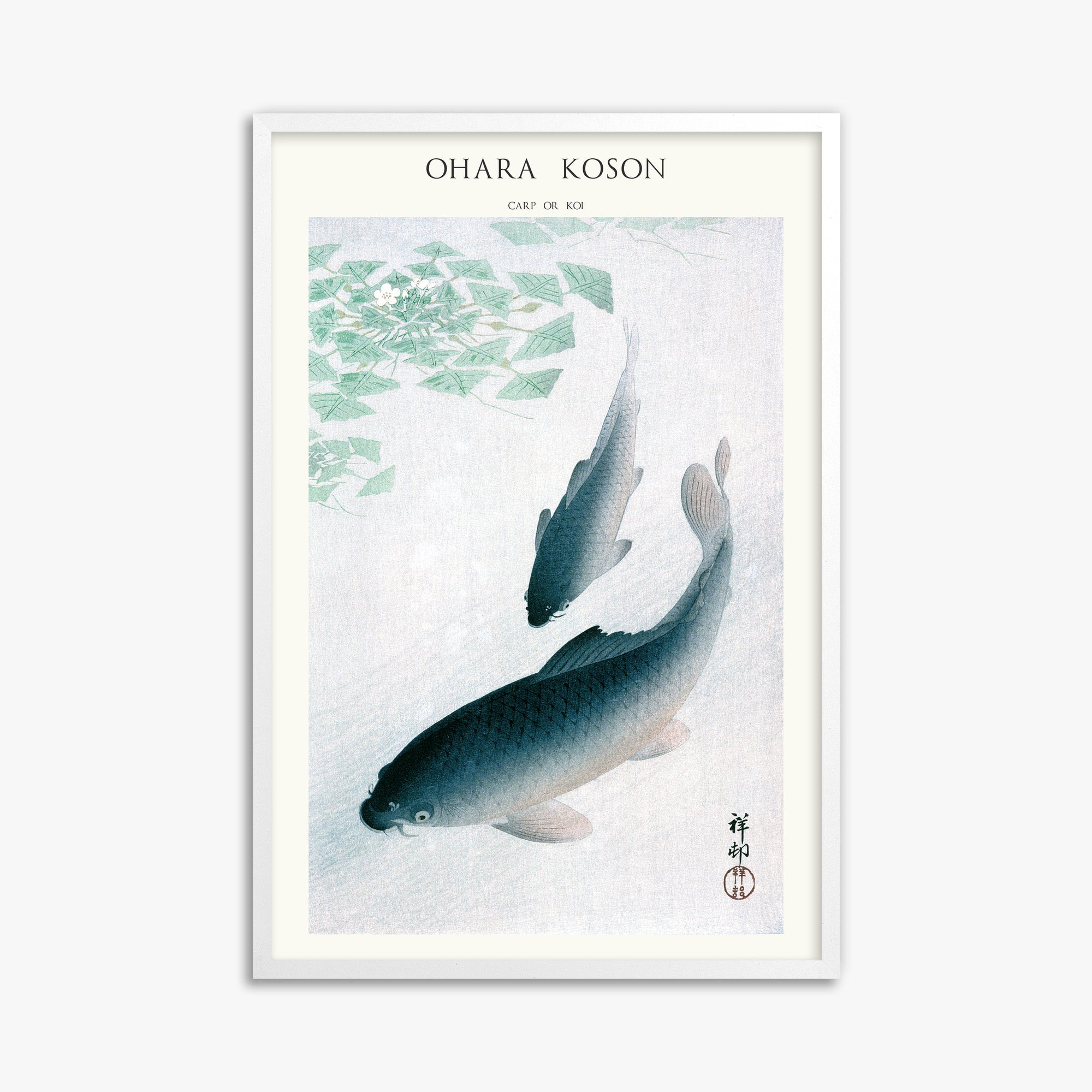 Ohara Koson: Carp or Koi - Japandi, 61x91cm Framed Art Reproduction With White Frame