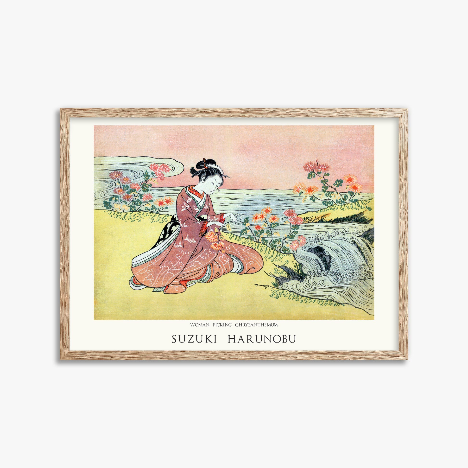 Suzuki Harunobu: Woman Picking Chrysanthemum - Japandi, 50x70cm Framed Art Reproduction With Raw Oak Frame
