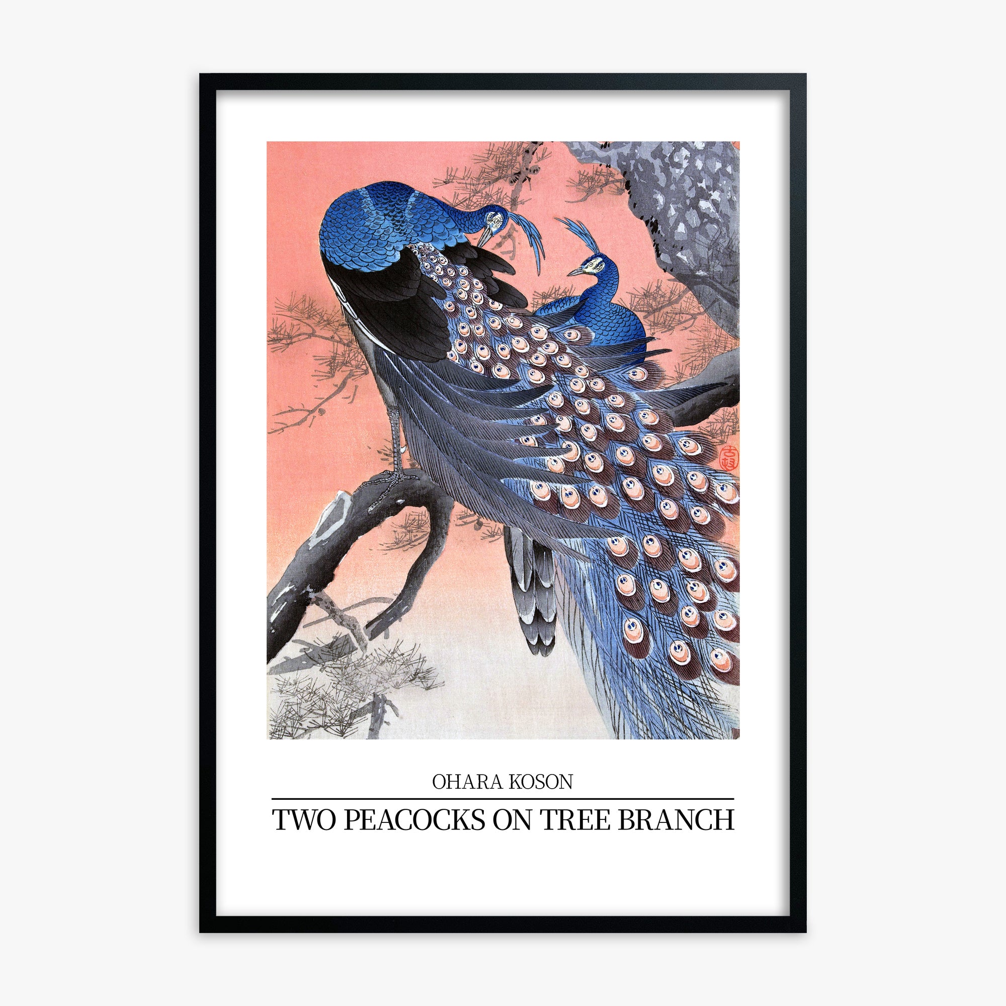 Ohara Koson: Two peacocks on tree branch - Japandi Style, Black Framed Art Reproduction With Black Frame