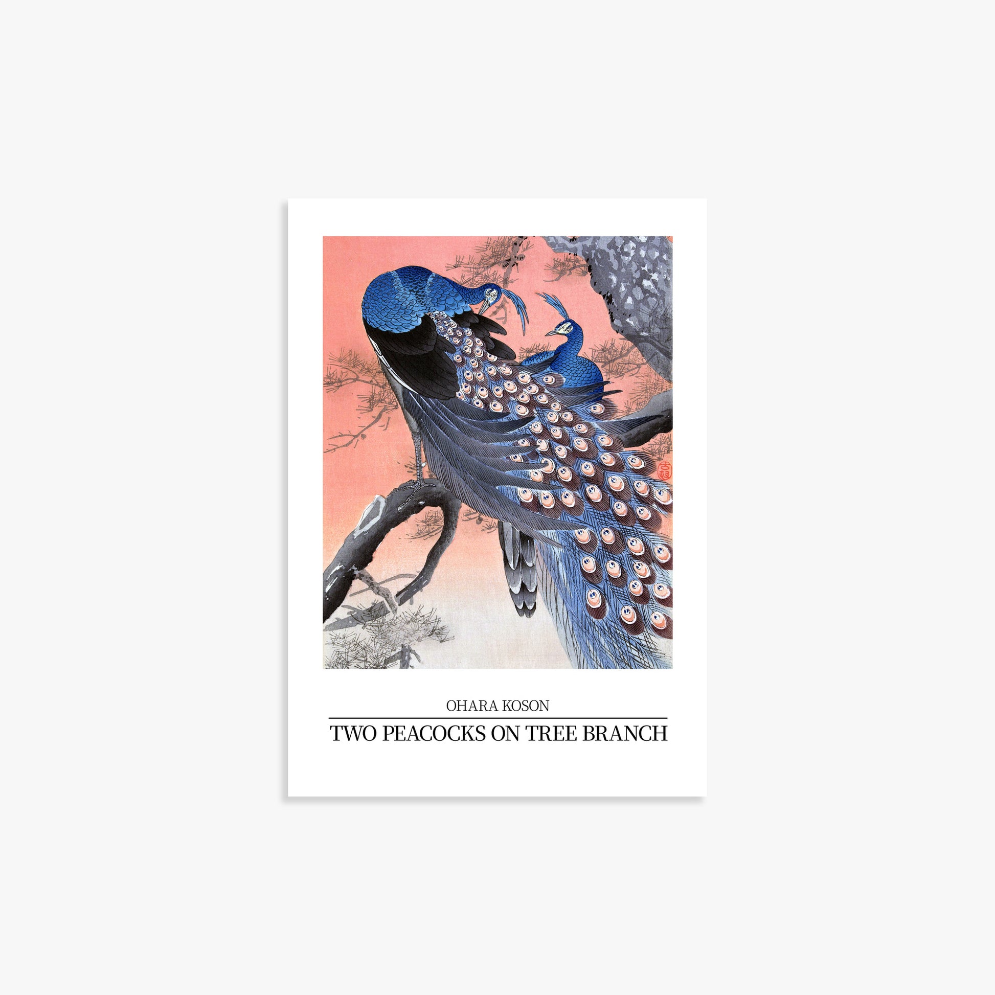 Ohara Koson: Two peacocks on tree branch Gallery-style, Japanese