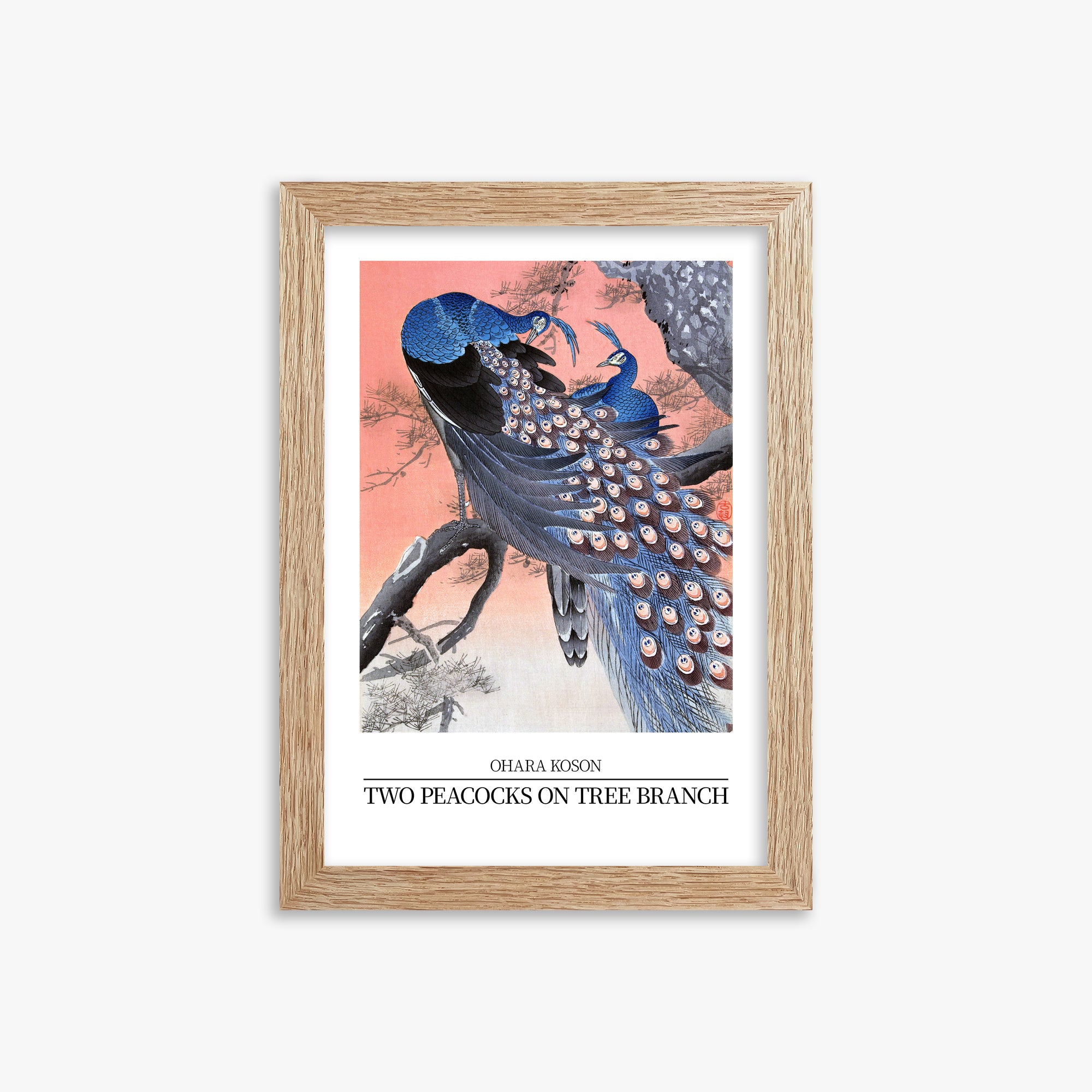 Ohara Koson: Two peacocks on tree branch - Japandi Style, 21x30cm Framed Art Reproduction With Raw Oak Frame