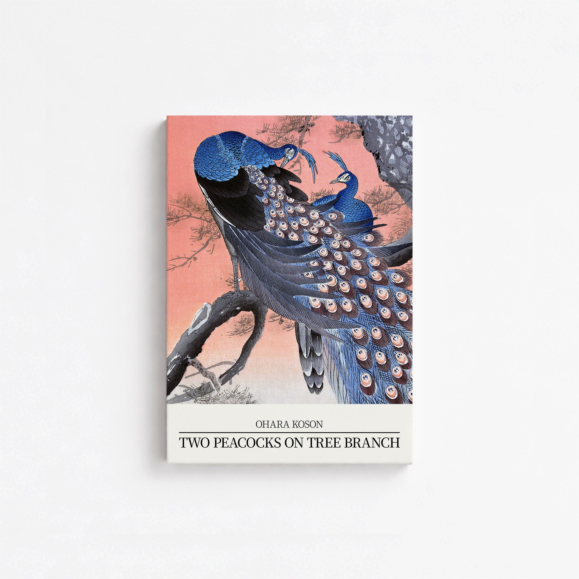 Ohara Koson: Two peacocks on tree branch - Japandi Style, 21x30cm Satin Canvas Art Reproduction