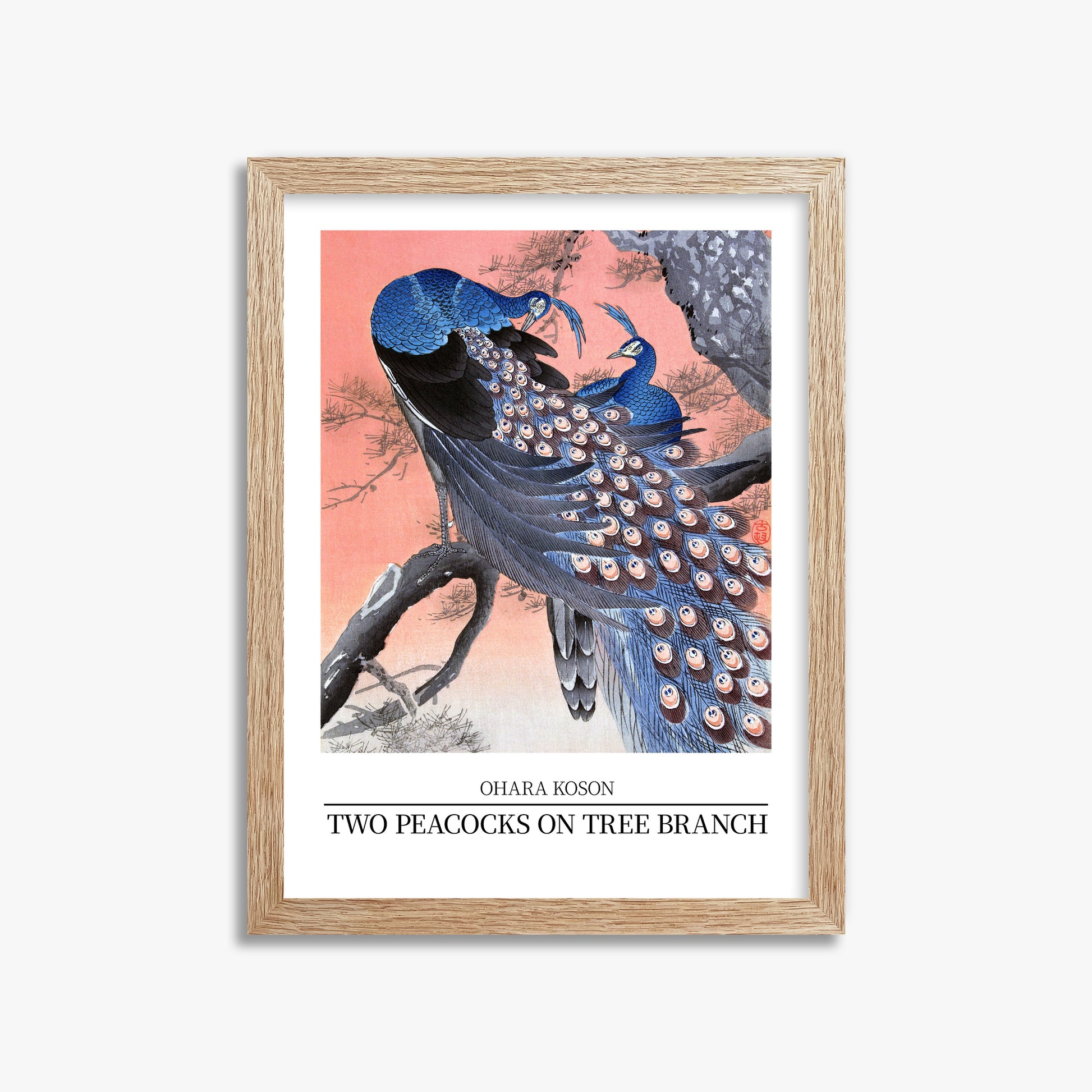 Ohara Koson: Two peacocks on tree branch - Japandi Style, 30x40cm Framed Art Reproduction With Raw Oak Frame