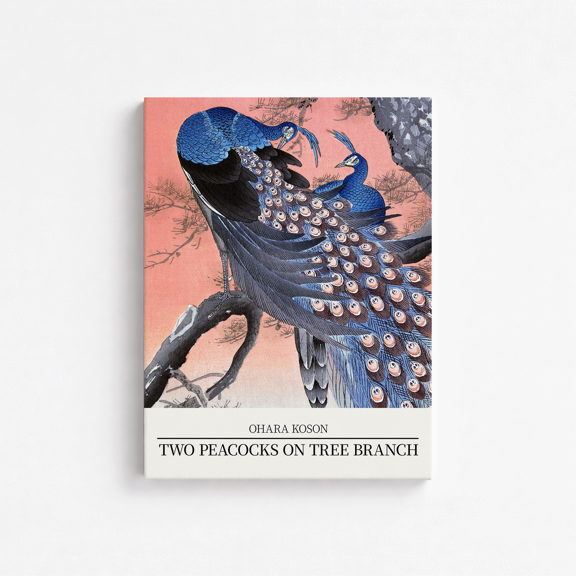 Ohara Koson: Two peacocks on tree branch - Japandi Style, 30x40cm Satin Canvas Art Reproduction