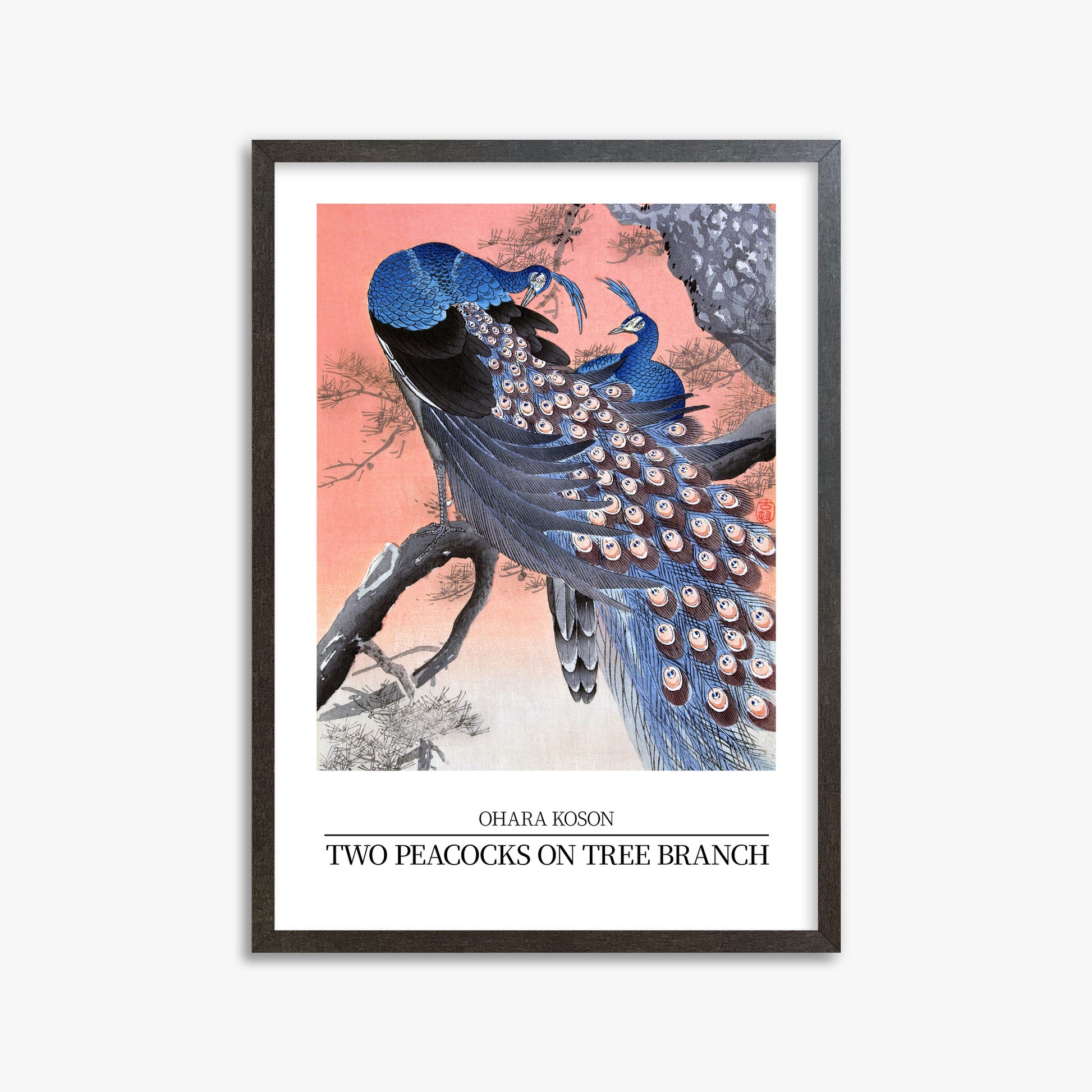 Ohara Koson: Two peacocks on tree branch - Japandi Style, 50x70cm Framed Art Reproduction With Espresso Frame