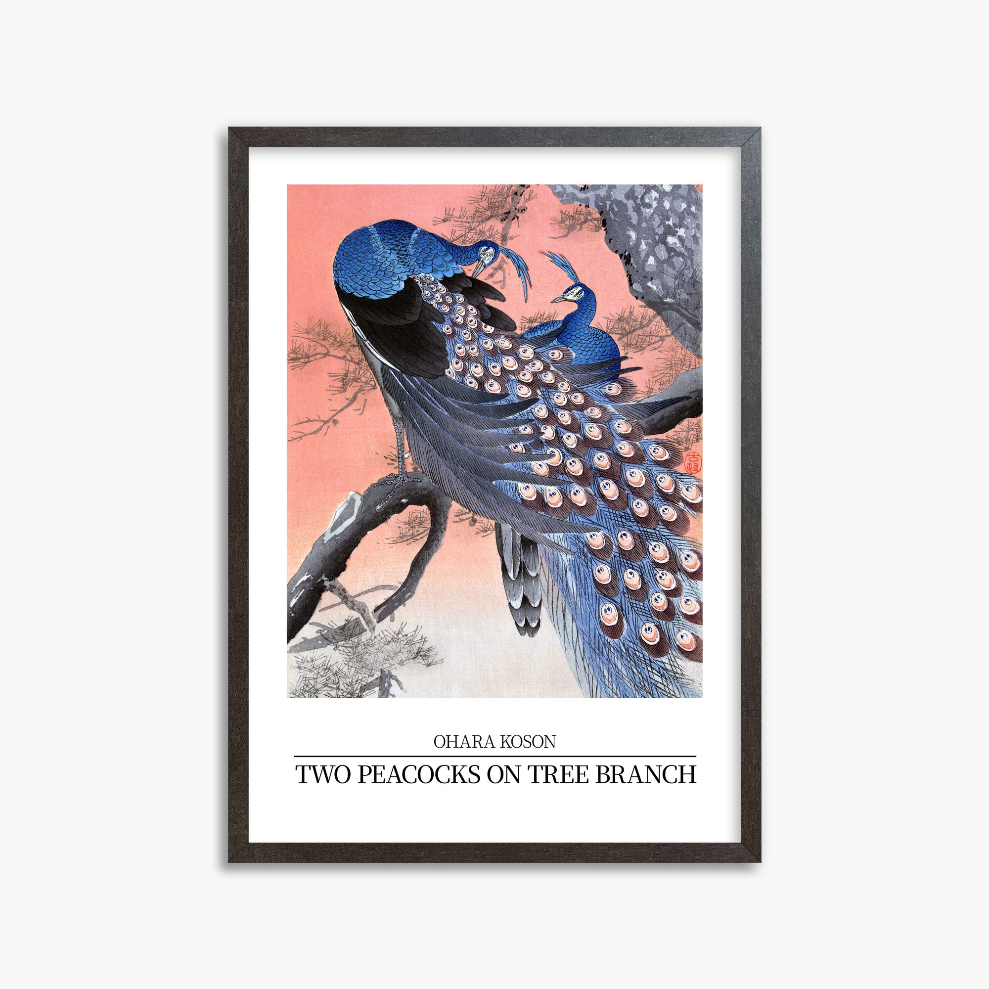 Ohara Koson: Two peacocks on tree branch - Japandi Style, 50x70cm Framed Art Reproduction With Espresso Frame