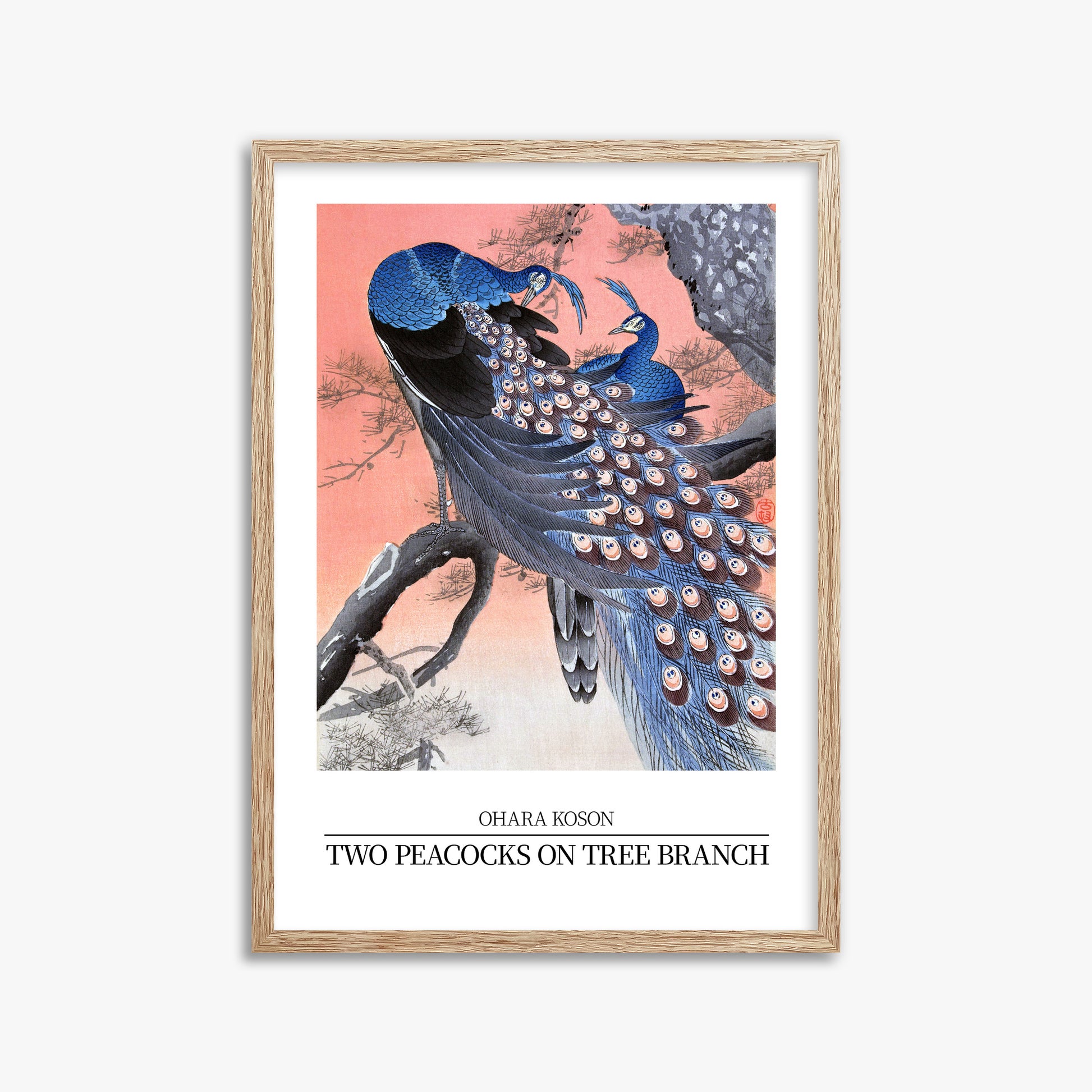 Ohara Koson: Two peacocks on tree branch - Japandi Style, 50x70cm Framed Art Reproduction With Raw Oak Frame