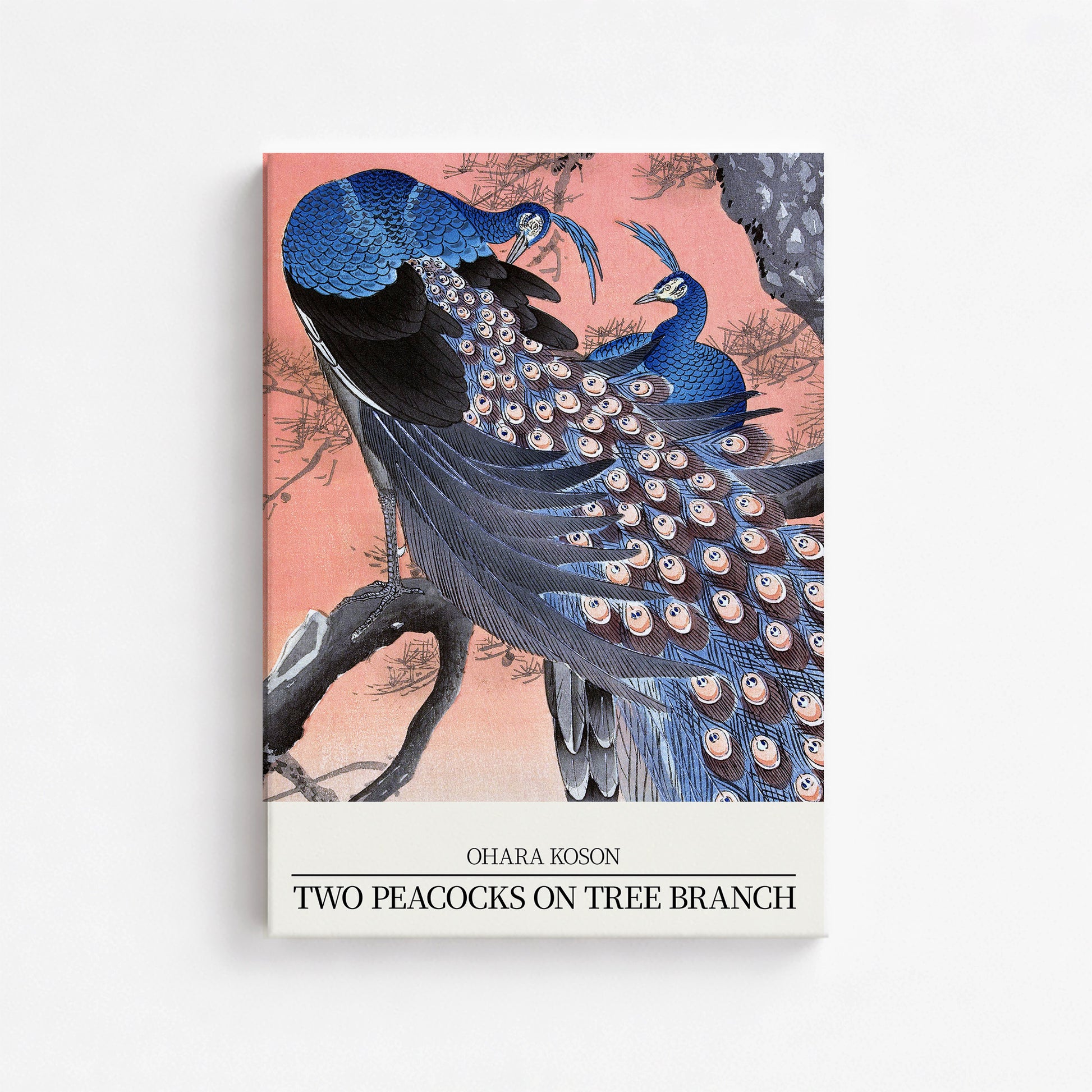 Ohara Koson: Two peacocks on tree branch - Japandi Style, 50x70cm Satin Canvas Art Reproduction
