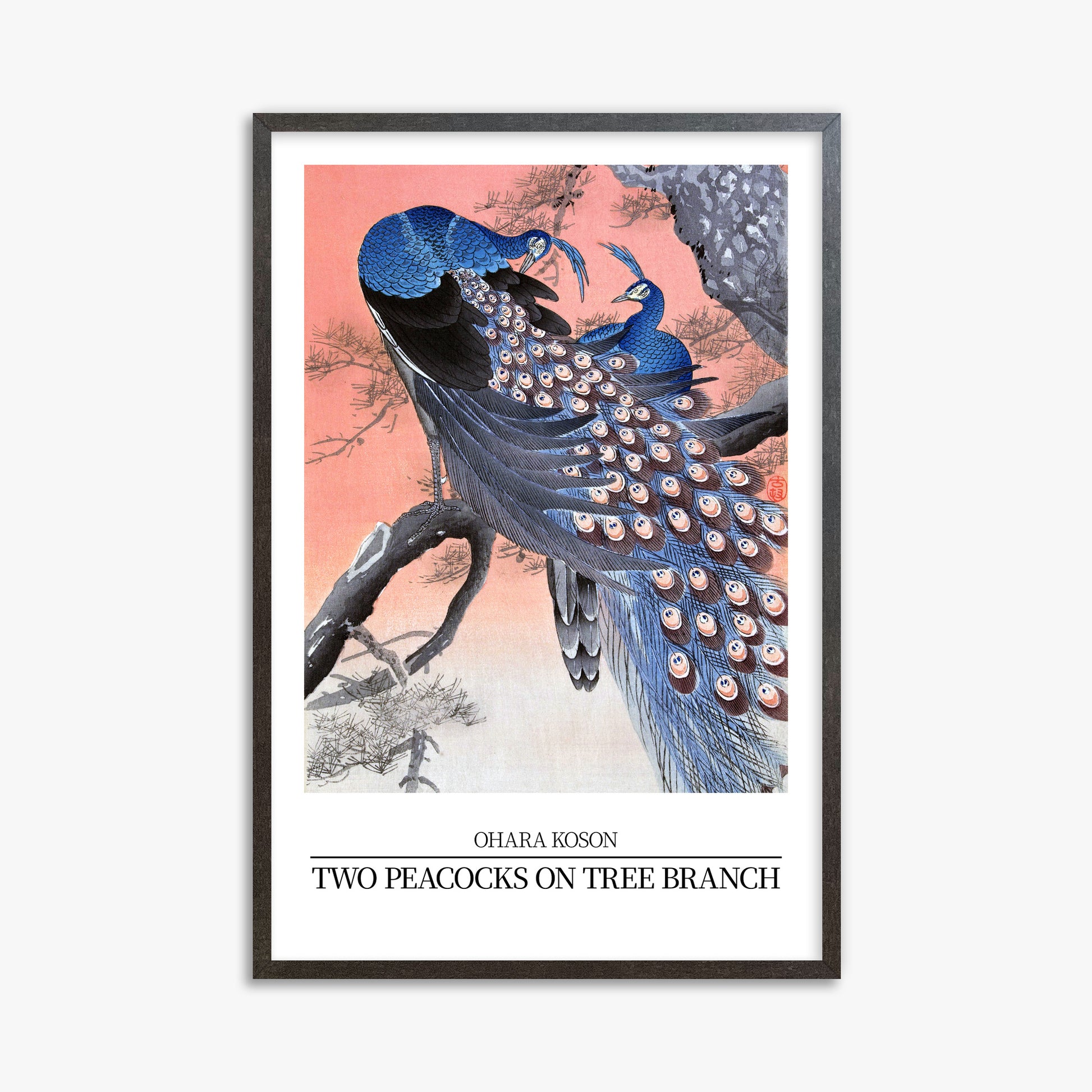 Ohara Koson: Two peacocks on tree branch - Japandi Style, 61x91cm Framed Art Reproduction With Espresso Frame